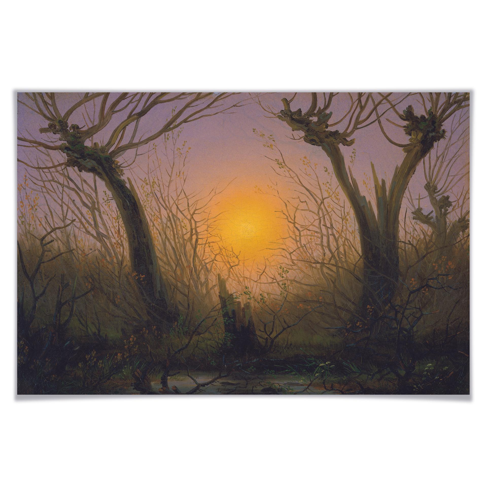 Poster Friedrich - Waldlandschaft bei tiefstehender Sonne