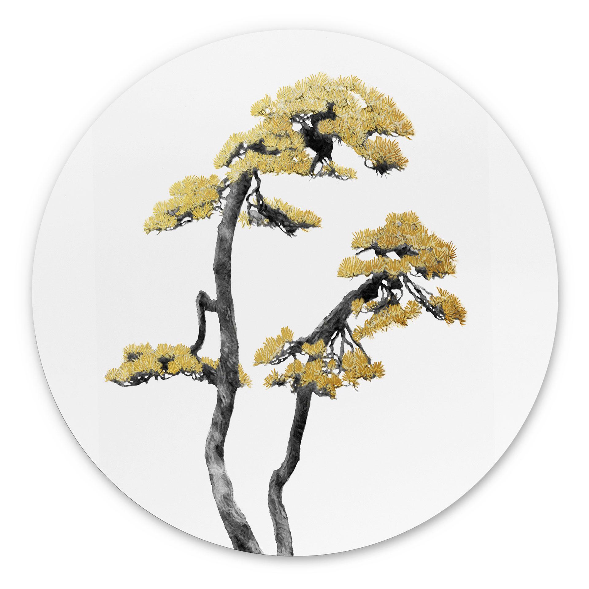 Vægcirkel Amini - Bonsai – print på aluminium (Alu-Dibond)