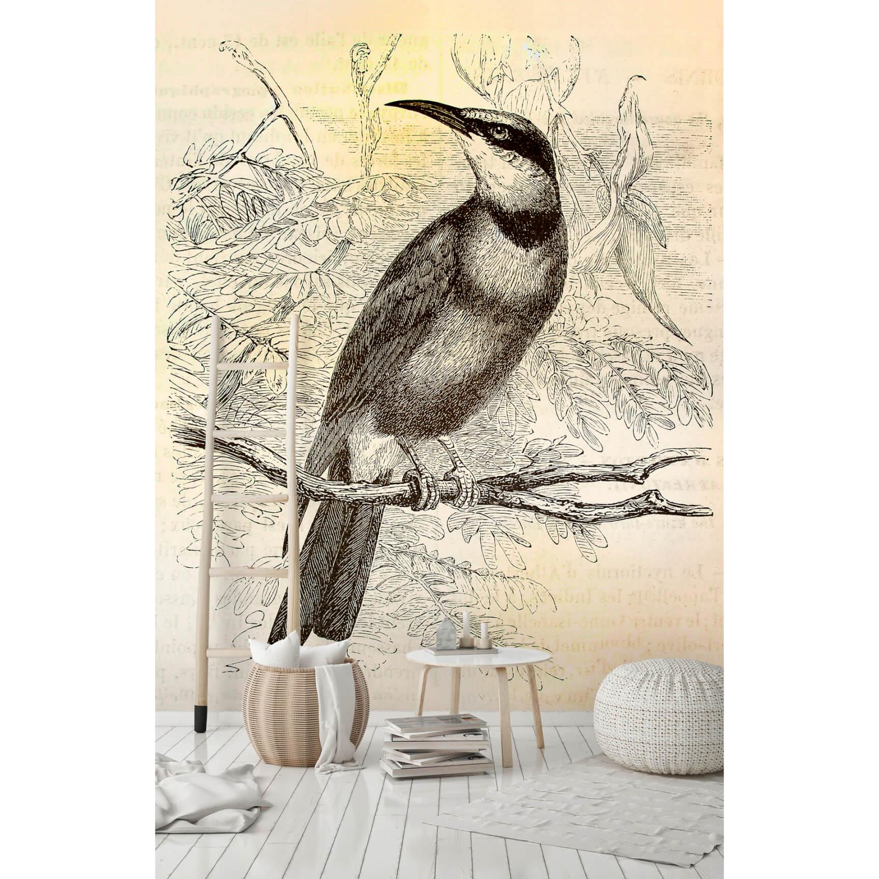 Livingwalls Fototapet Walls by Patel Birds 2