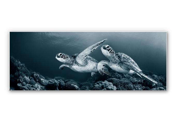 Tableau Forex - Narchuk - Deux tortues en voyage