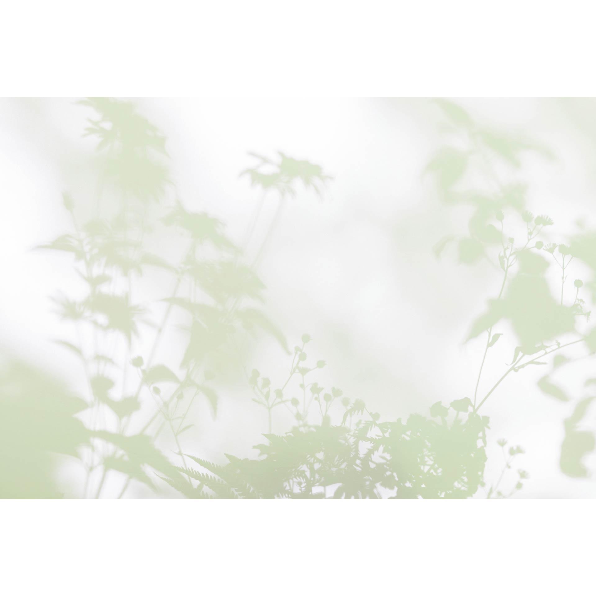 Livingwalls Fotobehang Walls by Patel 3 Shadow Room