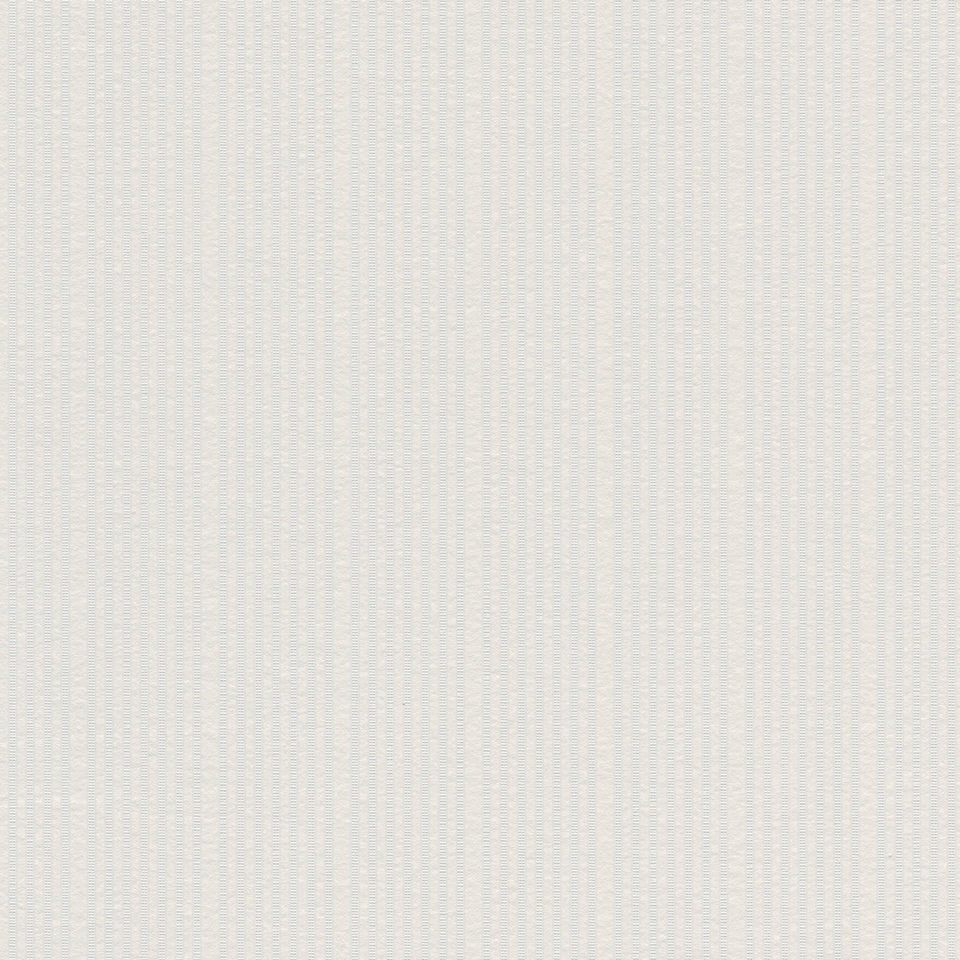A.S. Création - carta da parati in TNT verniciabile Meistervlies Pro Protect 2 colore bianco