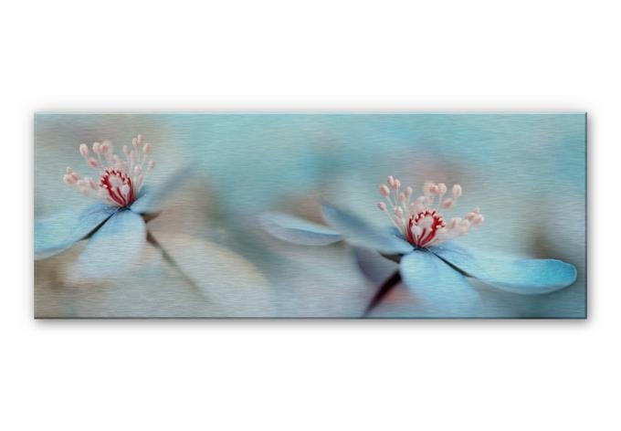 Aluminium Dibond – Westum – Delicate Flowers
