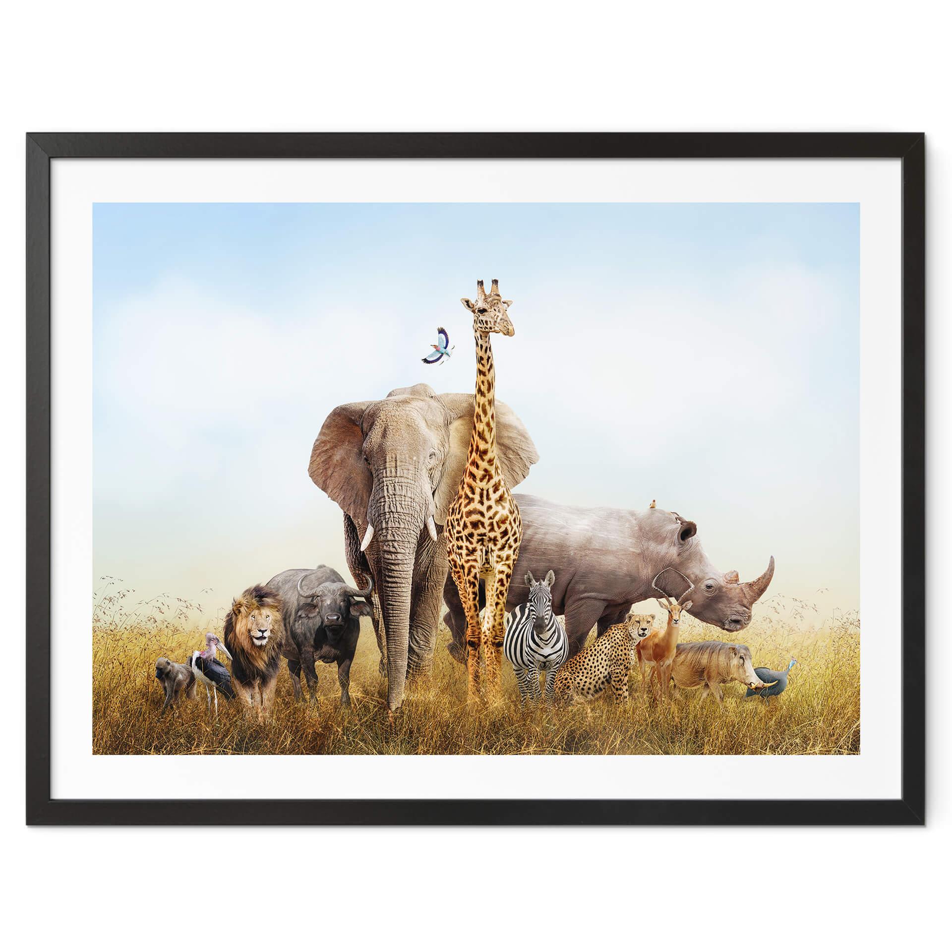 Póster de animales africanos