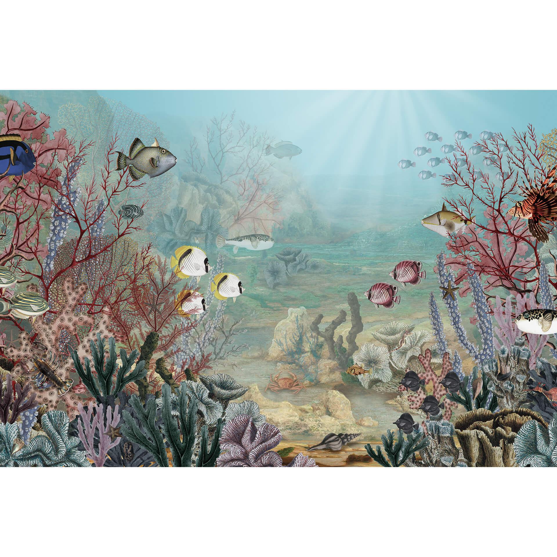 Fotobehang Sir Edward - Coral Life
