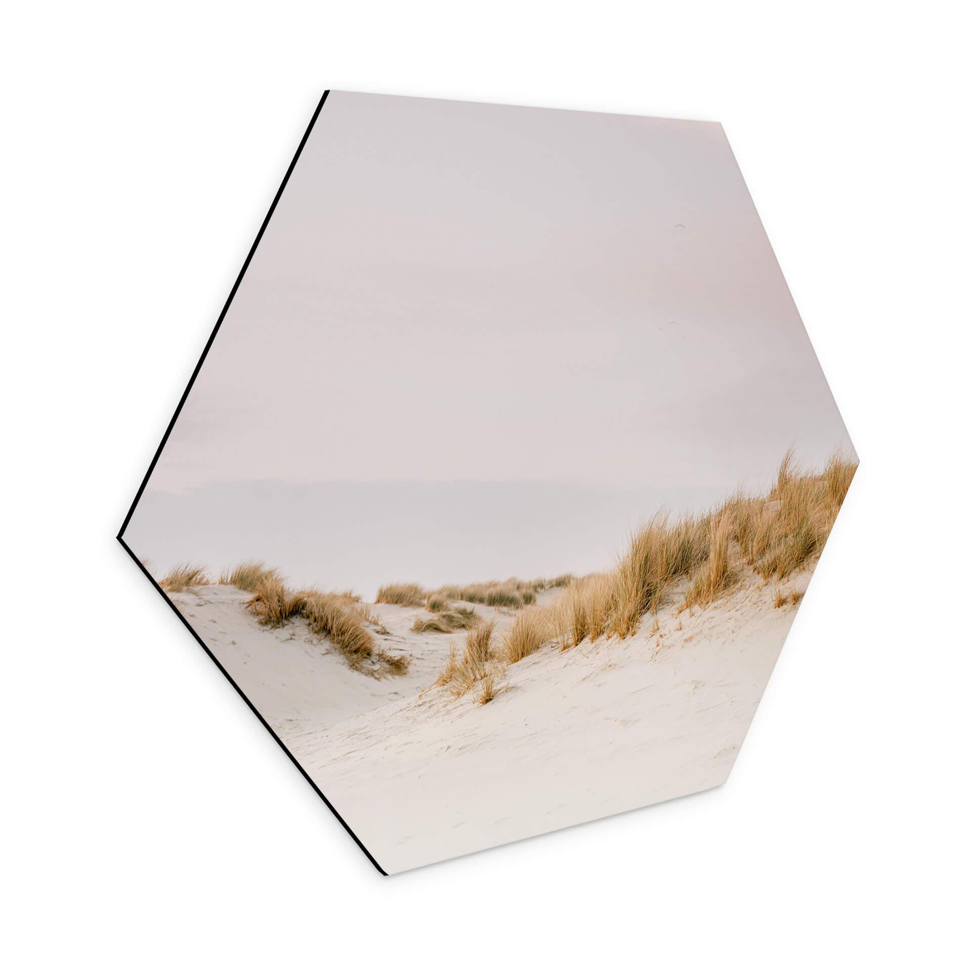 Hexagone - alu-Dibond Zwart - Paysage de dunes à Ameland