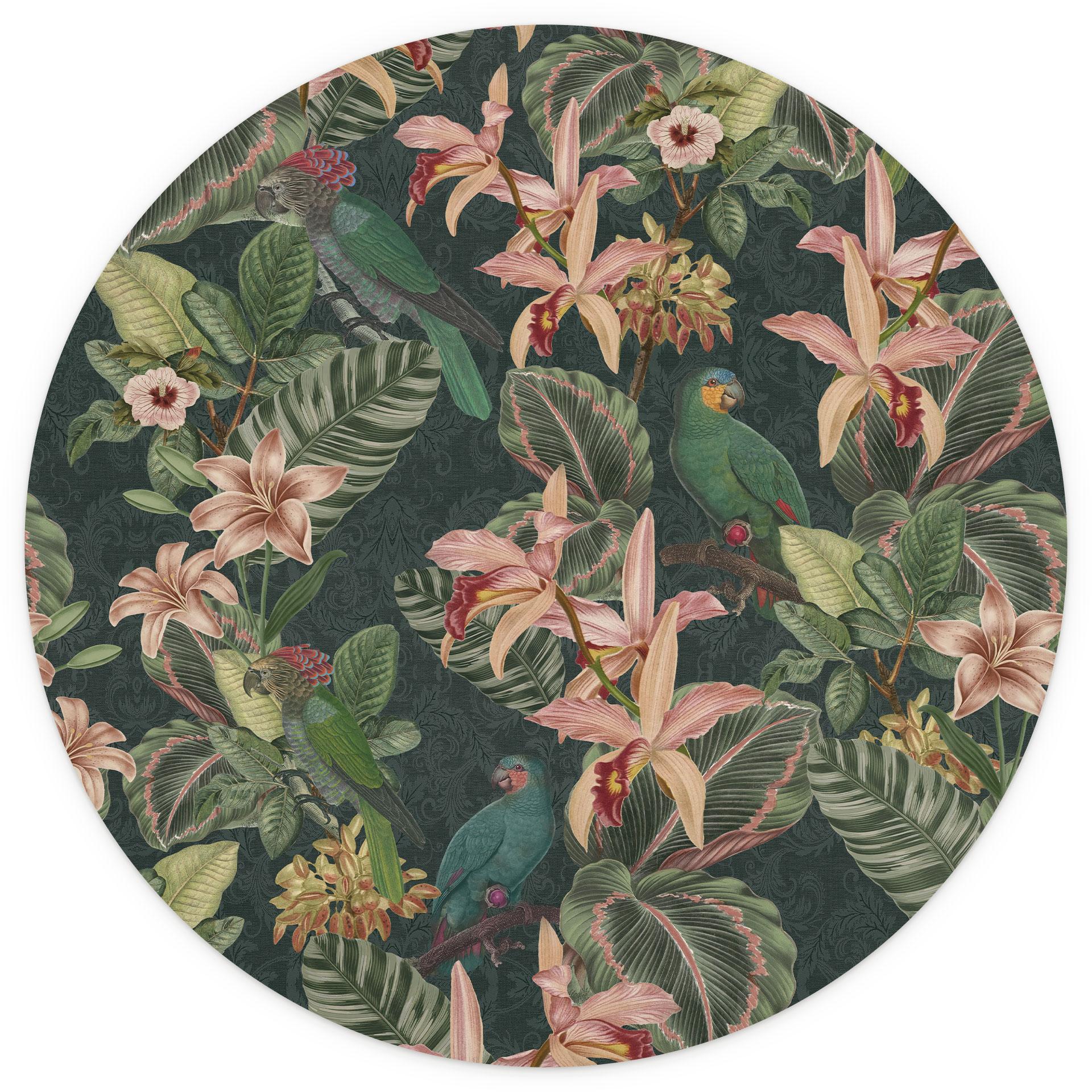 Jungle met papegaaien Fotobehang - Bloemdecor - Rond - Zelfklevend/niet-geweven
