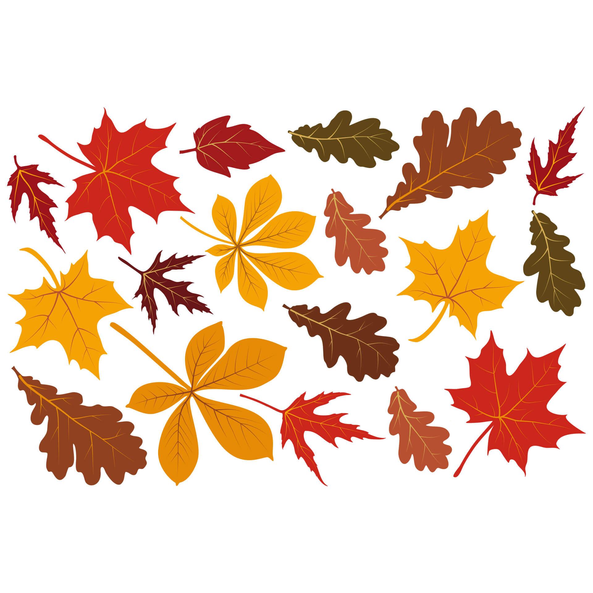 Muursticker Herfstbladeren 2