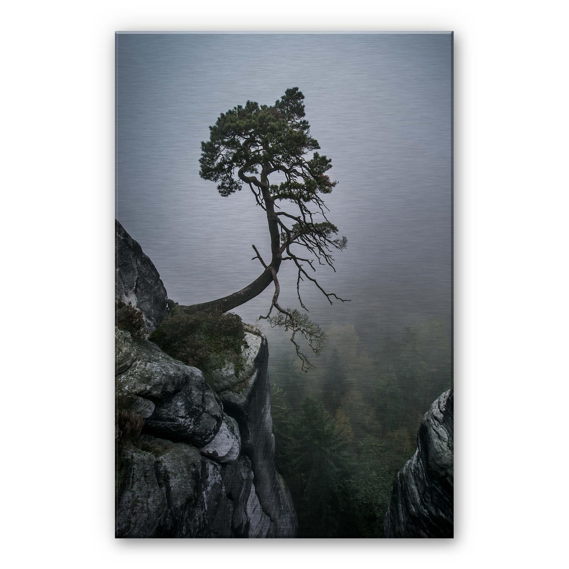 Alu-Dibond zilvereffect Wonisch - Force of Nature