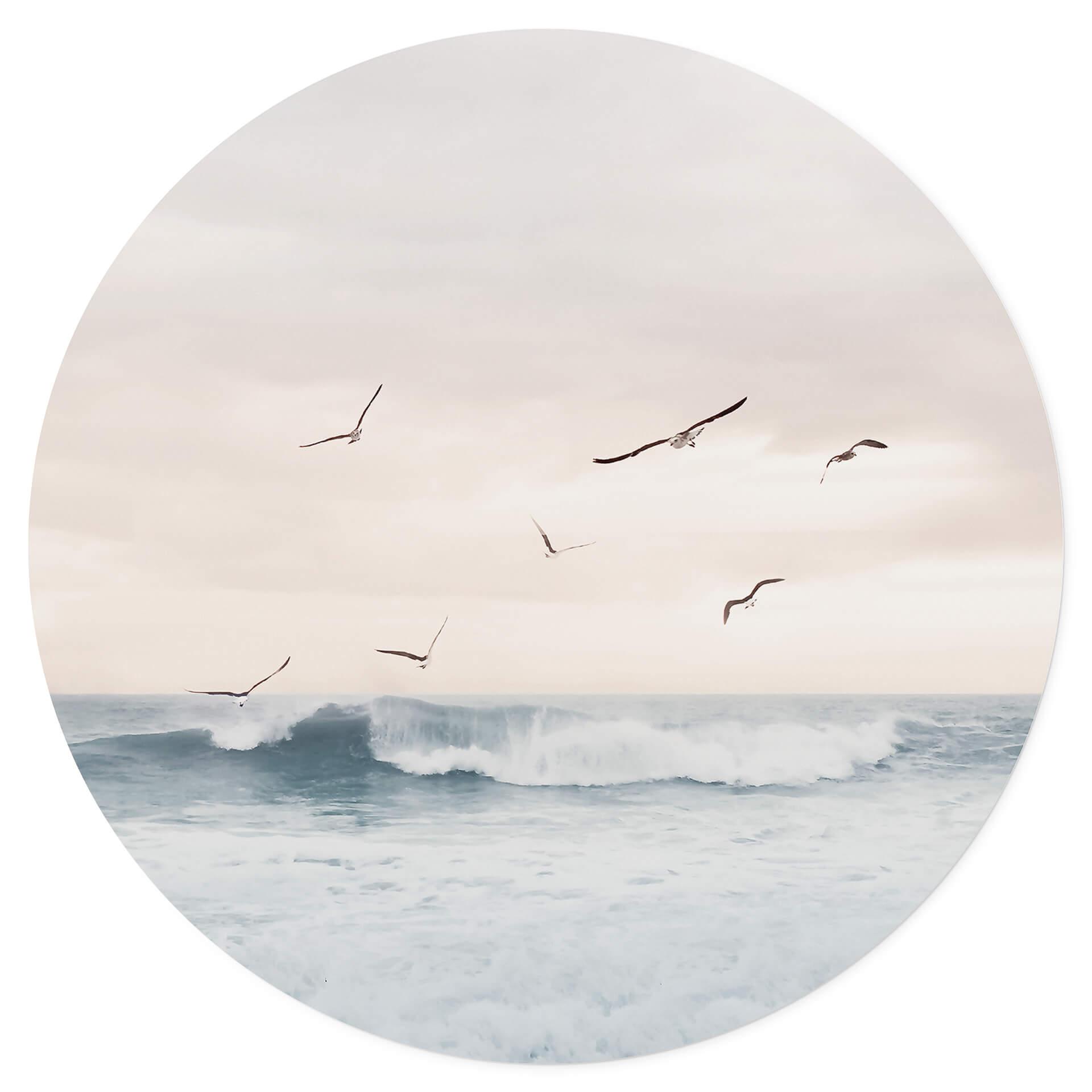 Vinilo decorativo Sisi & Seb - Mágico cielo nocturno junto al mar - Redondo
