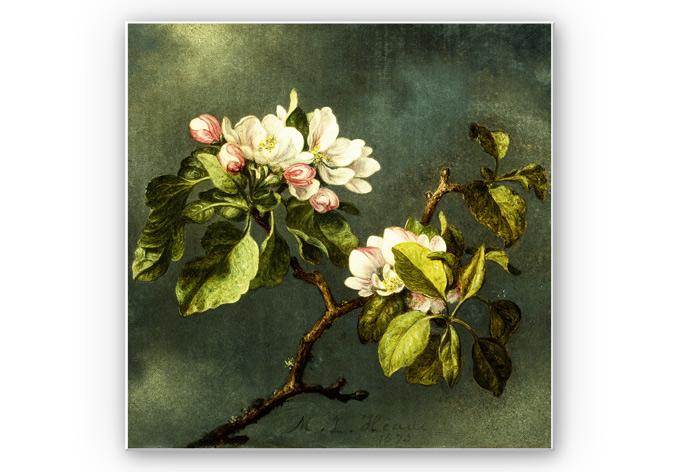 Wandbild Heade - Apfelblüten