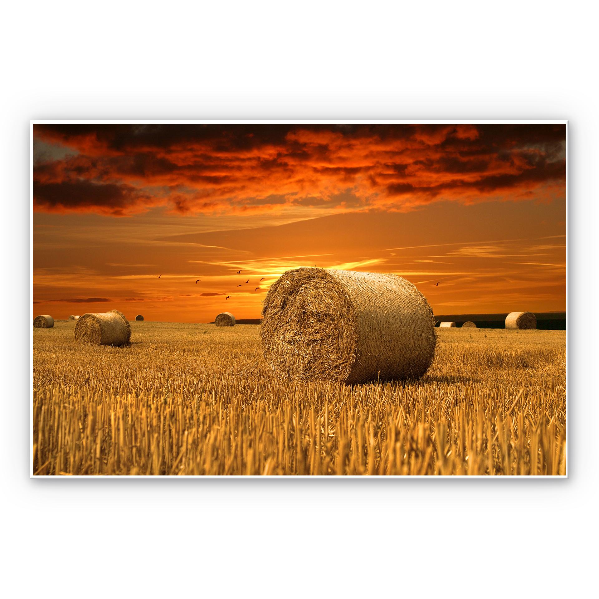 Tableau Forex - Balles de paille