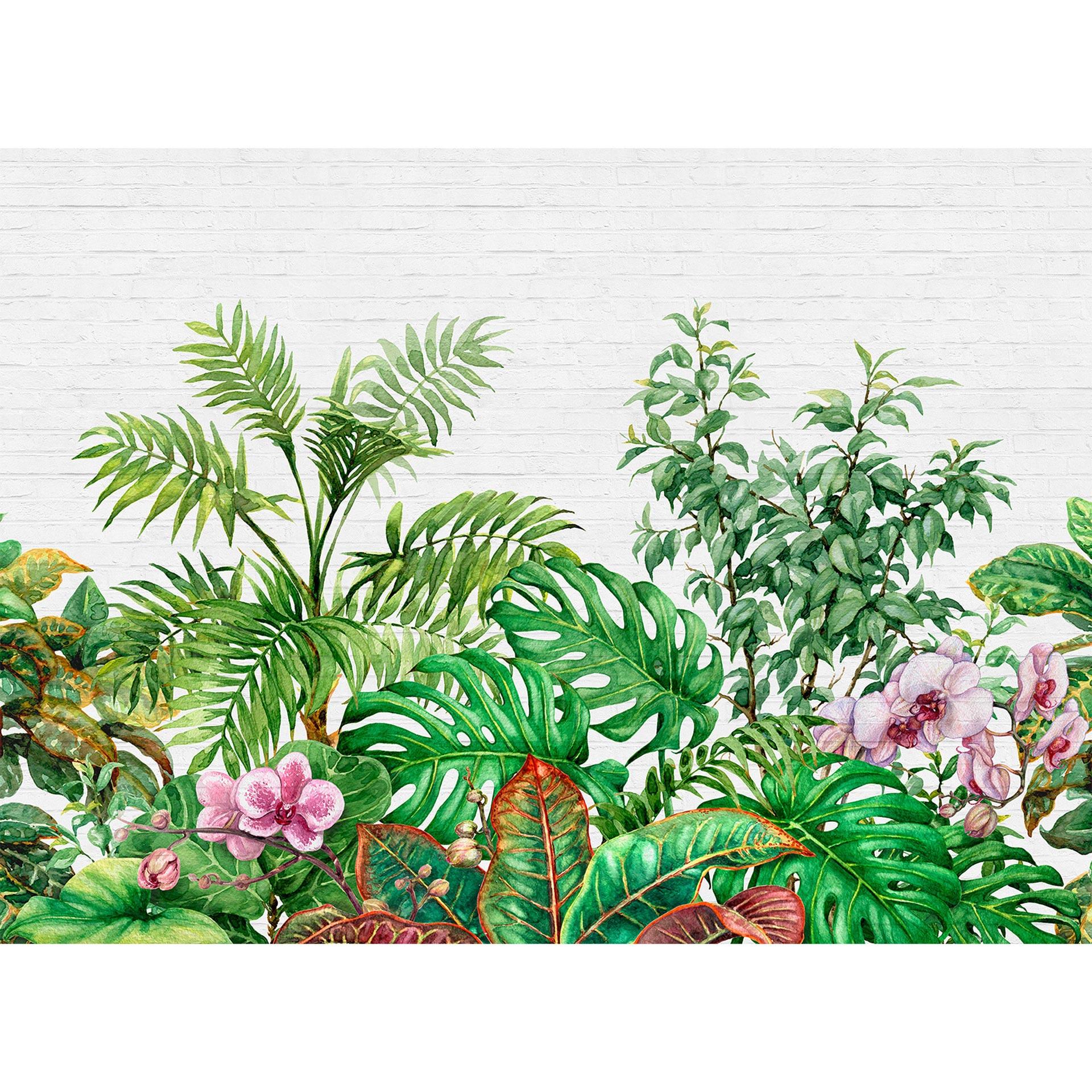 Livingwalls Fotobehang Designwalls Tropical Wall