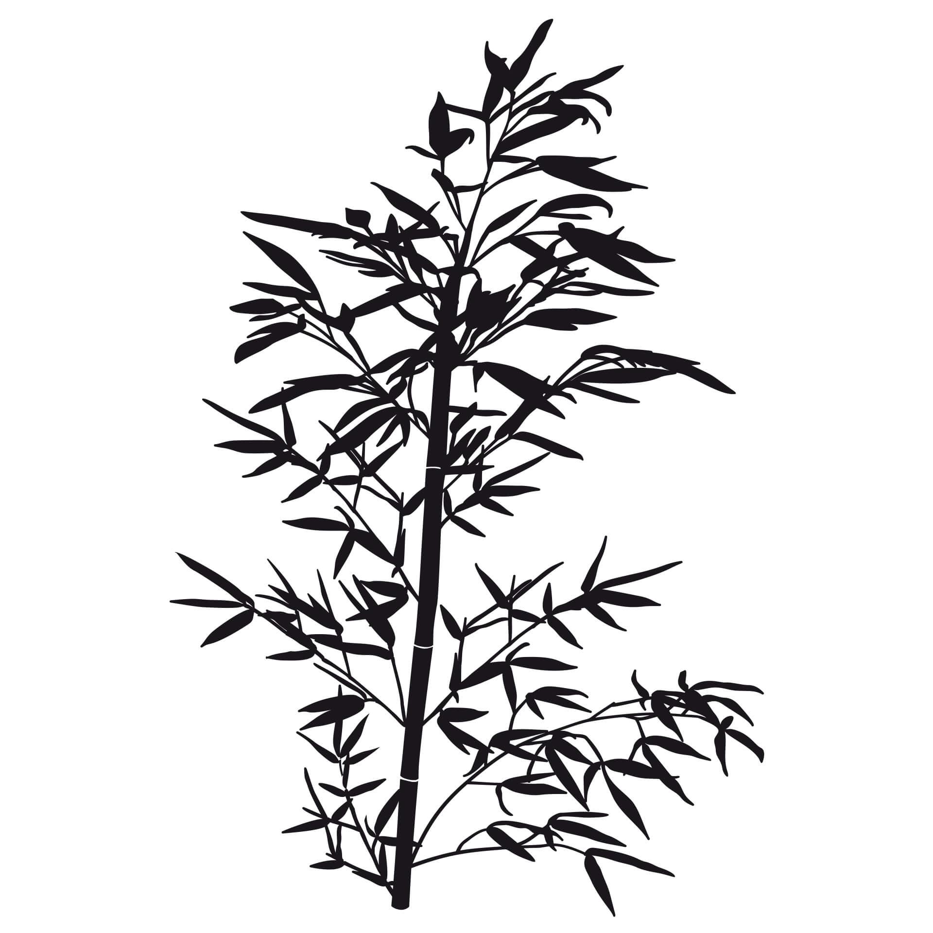 Muursticker Bamboeplant