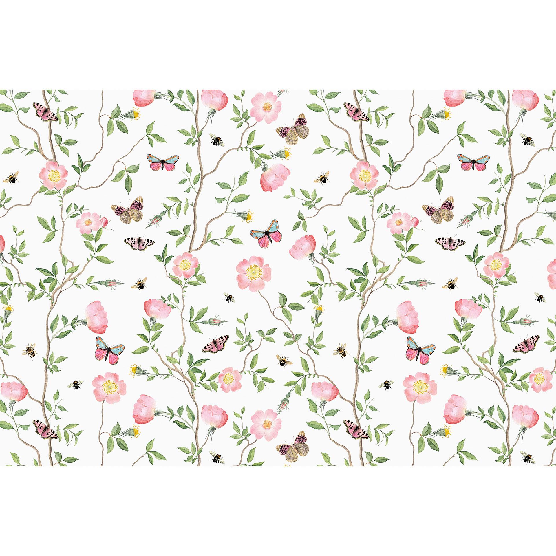 Fotomurale Rose rosa in primavera - UN Designs