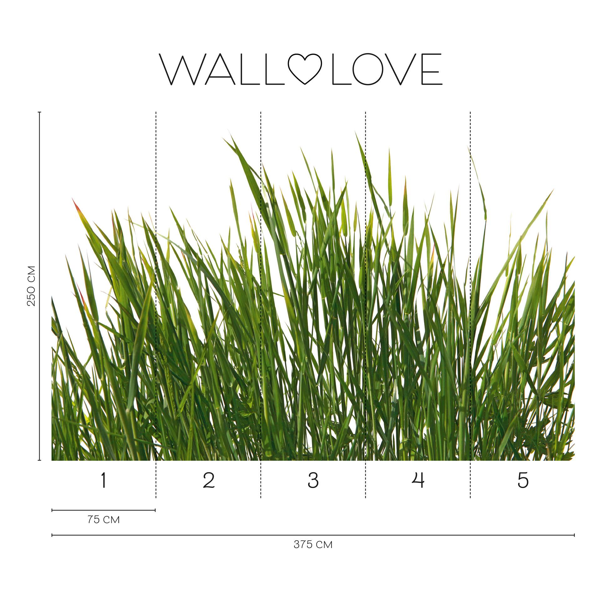 Fotobehang natuur groen wit - Vliesbehang 3,75 m x 2,50 m weide motief modern