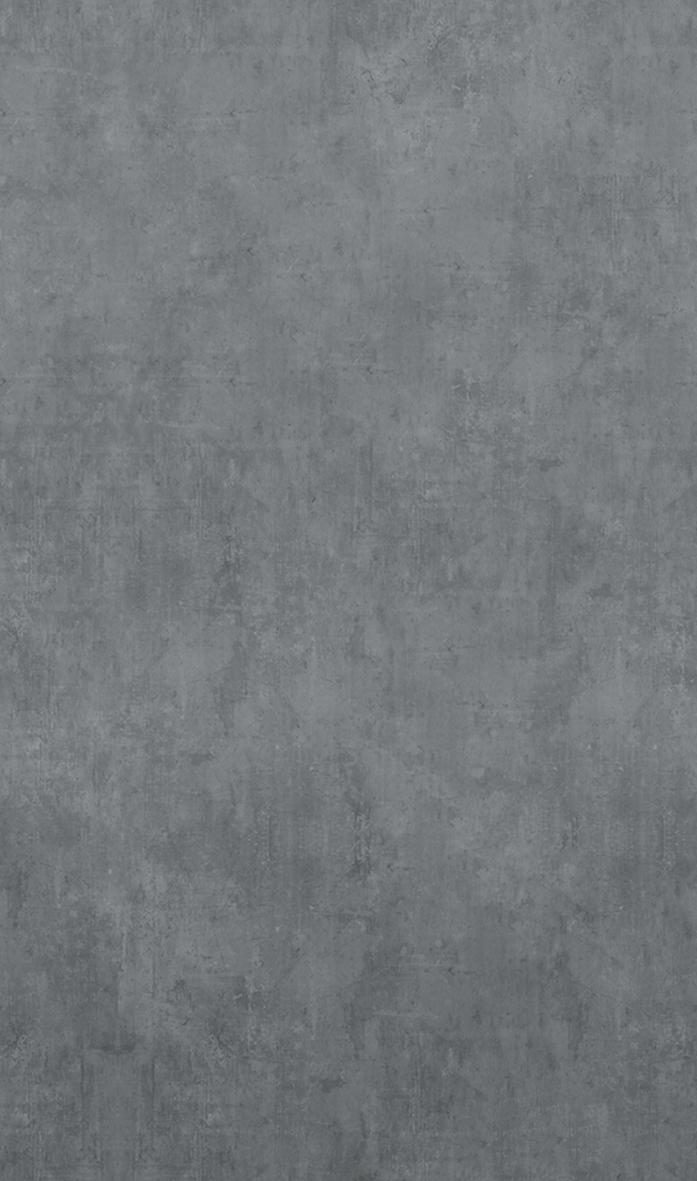 Carta da parati grigio cemento ornamenti 2,70 x 1,59m