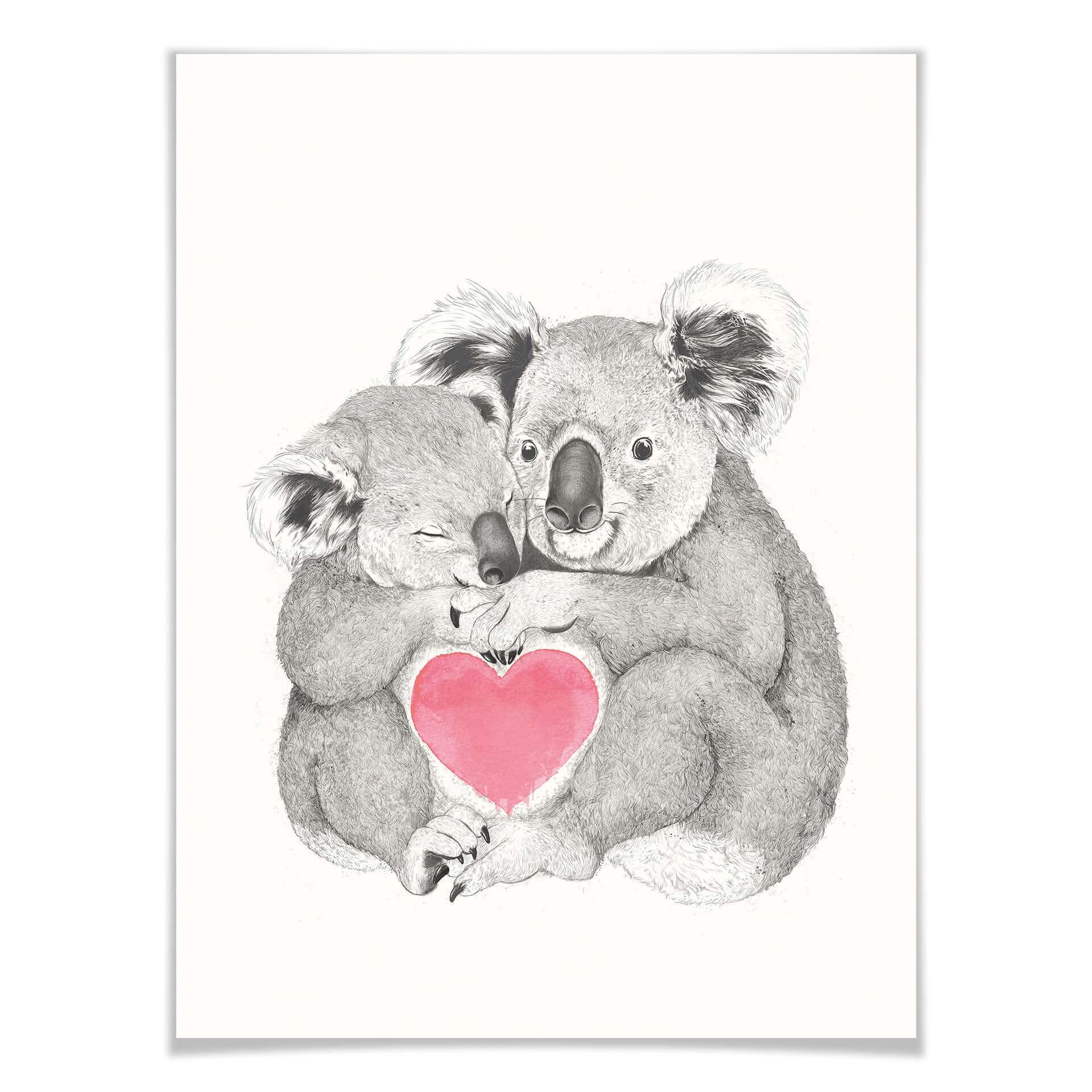 Plakat Graves - Koala uwielbia uściski