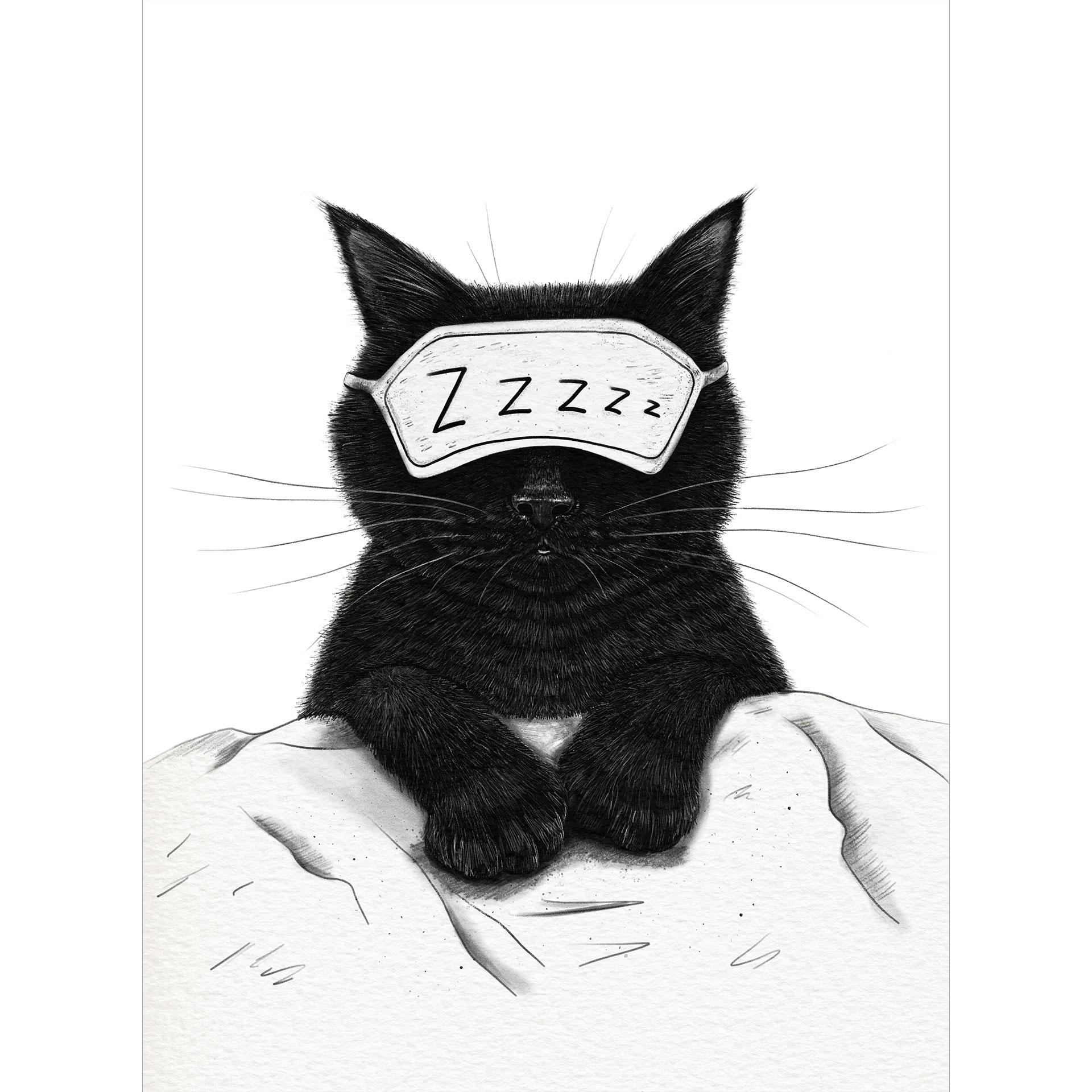 Fotobehang Zwarte Kat met Slaapmasker - Korenkova