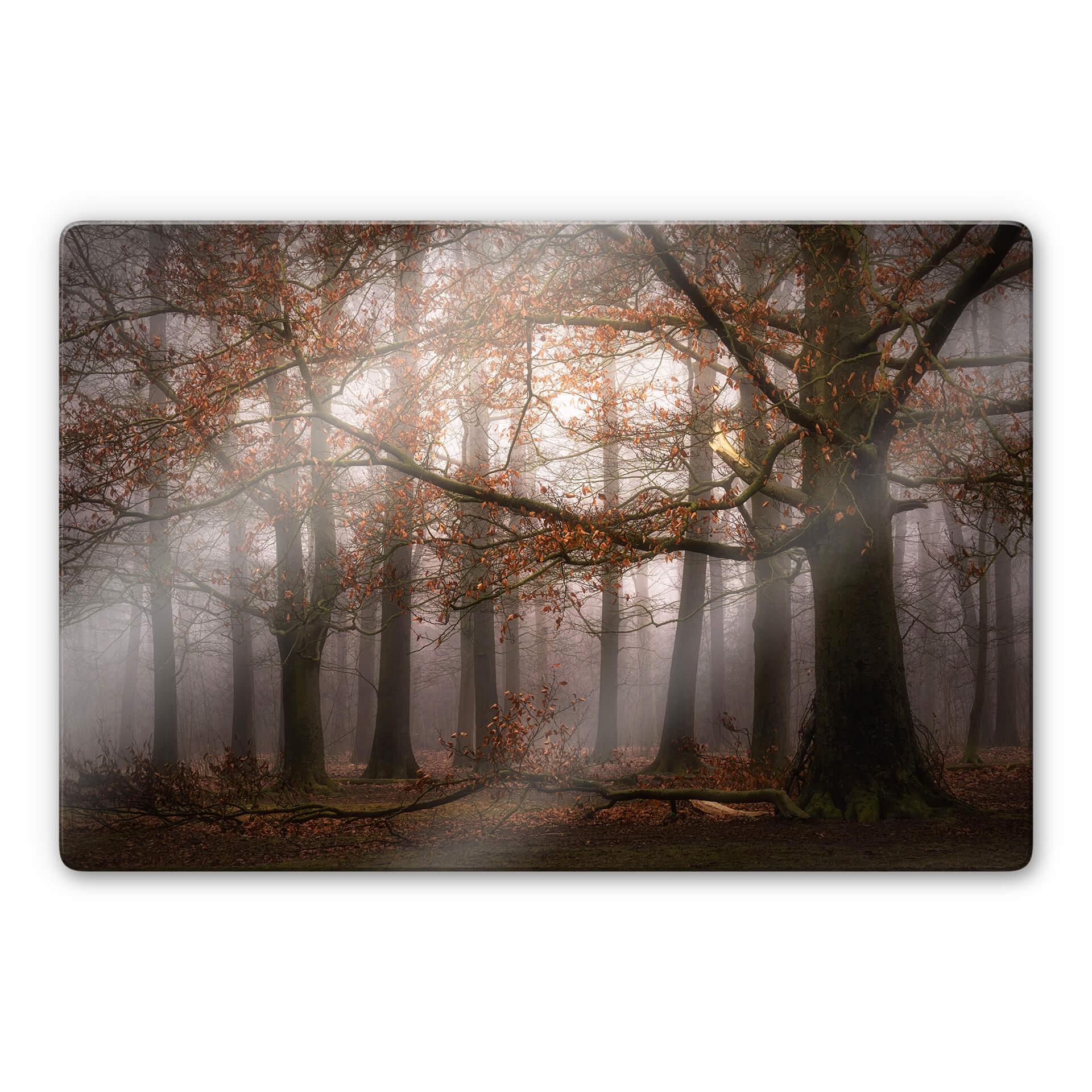 Glasschilderij Dingemans - Nevel in de Herfst