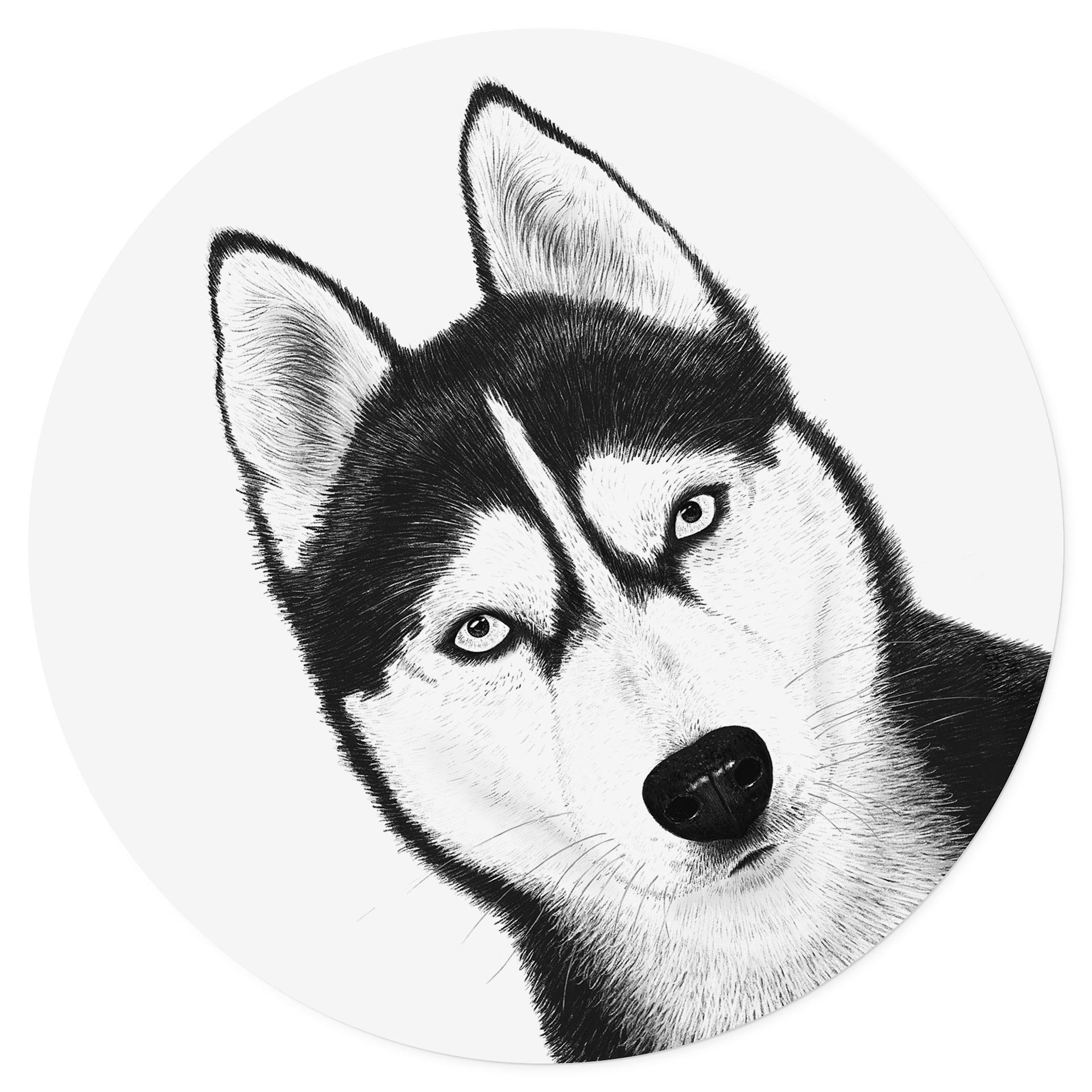 Muursticker Siberische husky - Hondenportret - Korenkova - Rond
