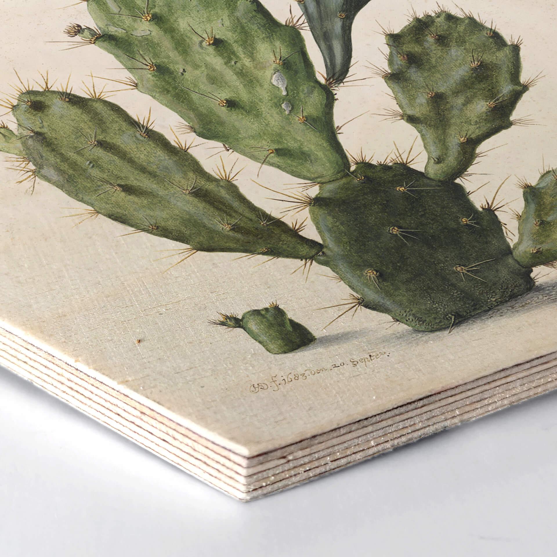 Hexagon Hout Saftleven - Cactus
