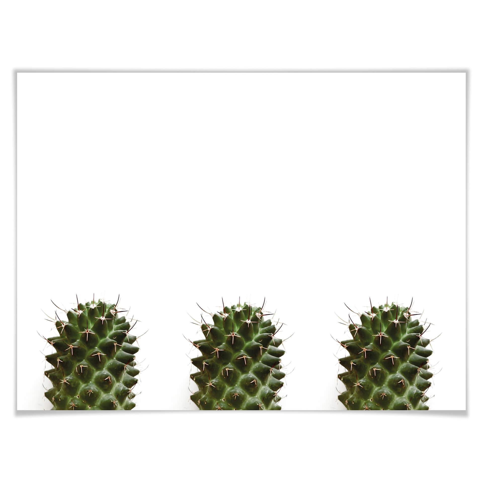 Plakat Mój mały kaktus - Trio