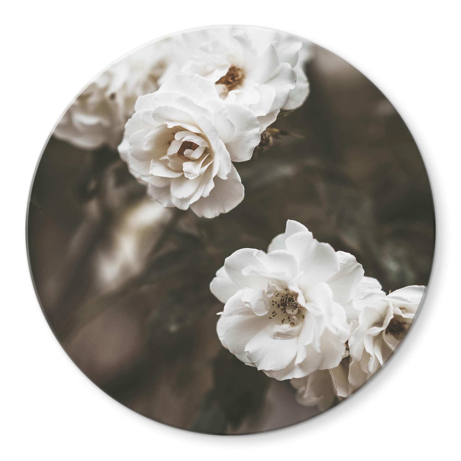 Tableau sur verre Annie - Louise Bugnet - Rond