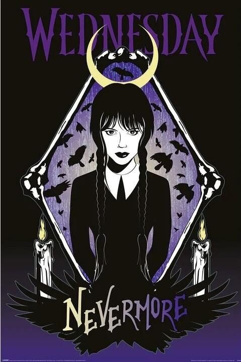Poster, film poster Wednesday - Ravens 61x91,5 cm