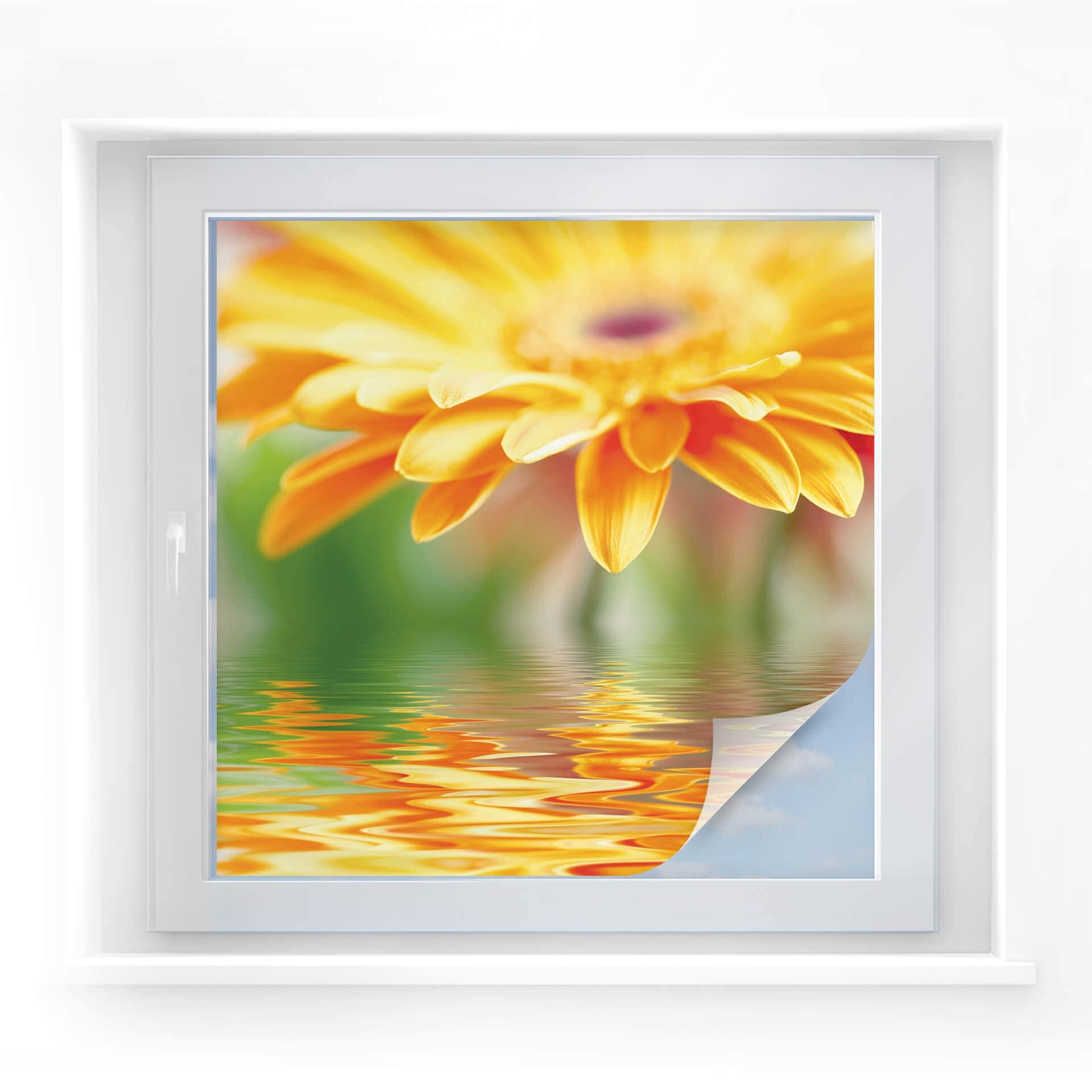 Lámina de privacidad espejada Gerbera - cuadrada