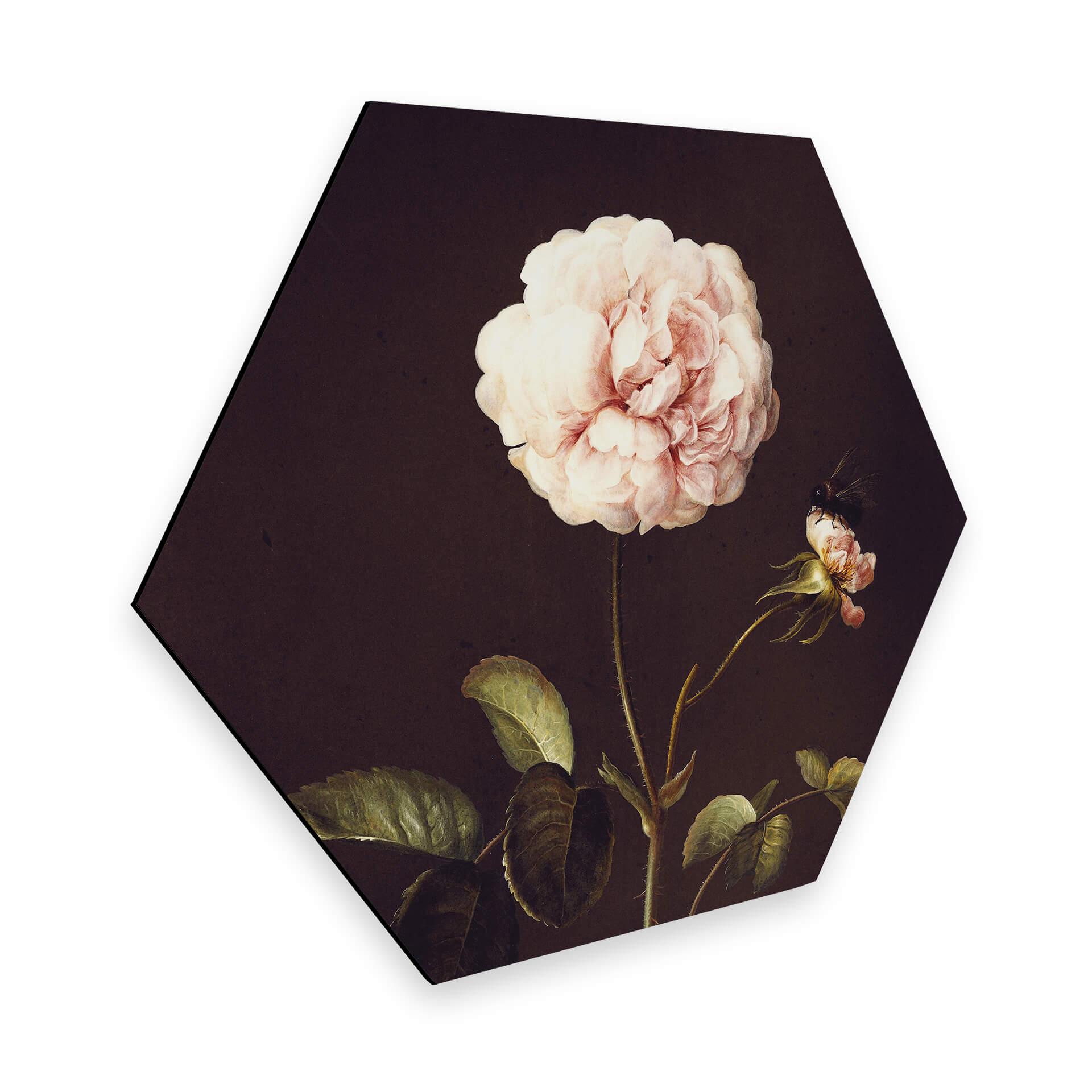 Hexagon Dibond Dietzsch - Roos met Hommel