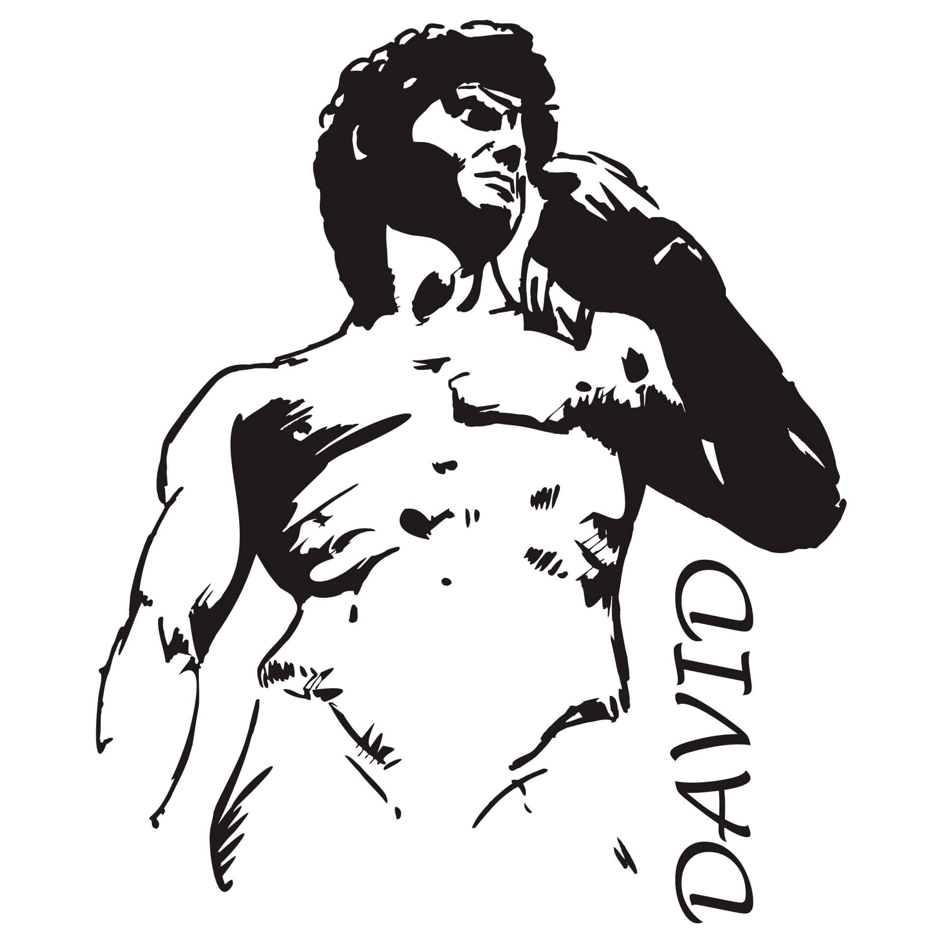 Adesivo murale - David