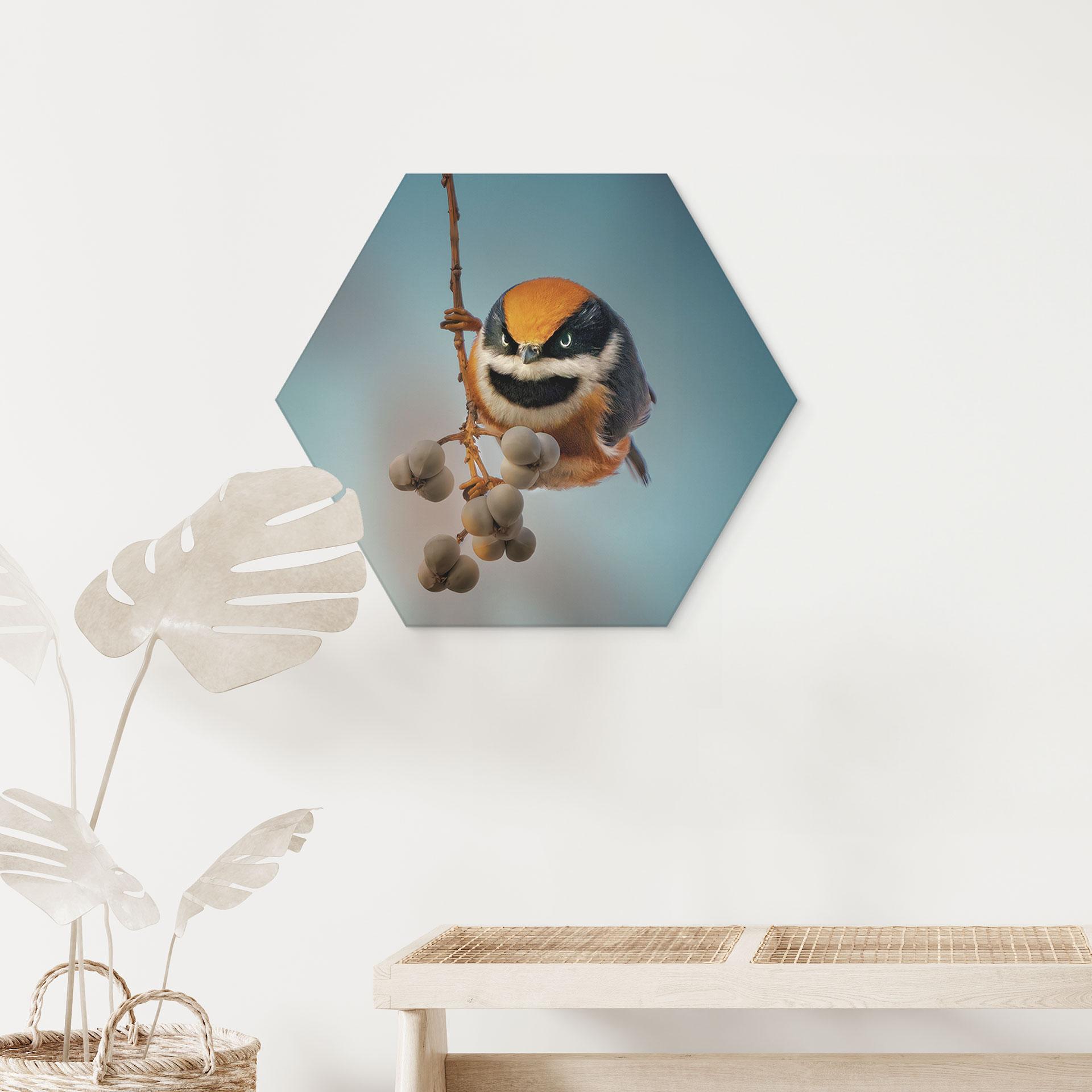 Hexagon Wandbild Kleiner Vogel am Ast - Jacob Xu - Alu-Dibond