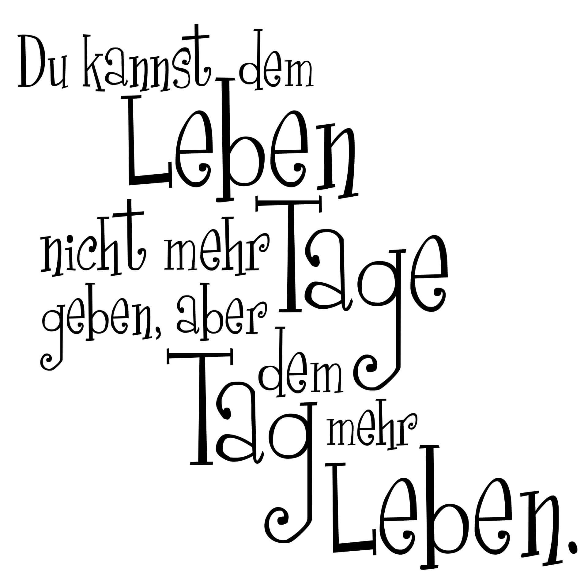 Wandtattoo Du kannst dem Leben...