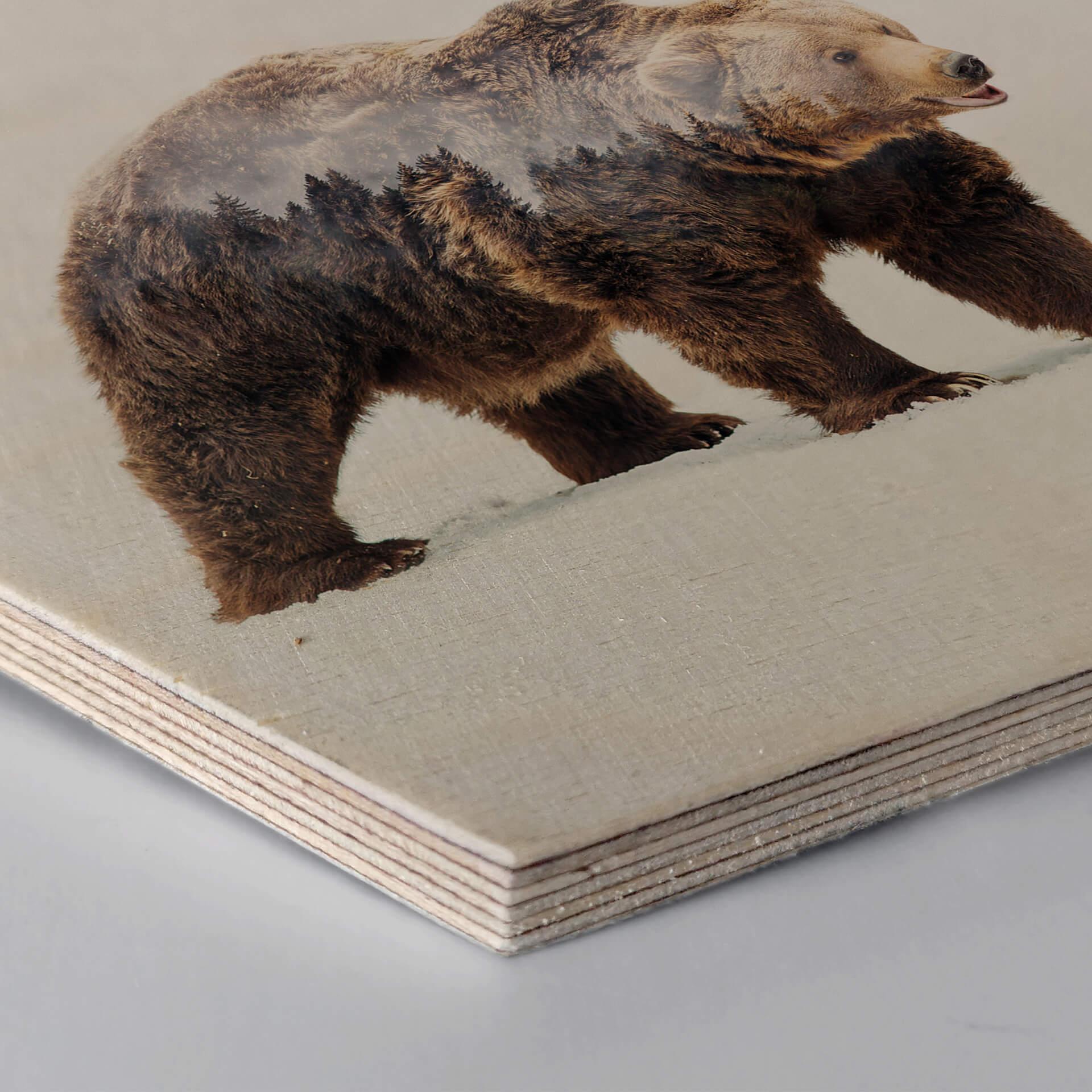 Hexagon Hout - Beáta - The Bear