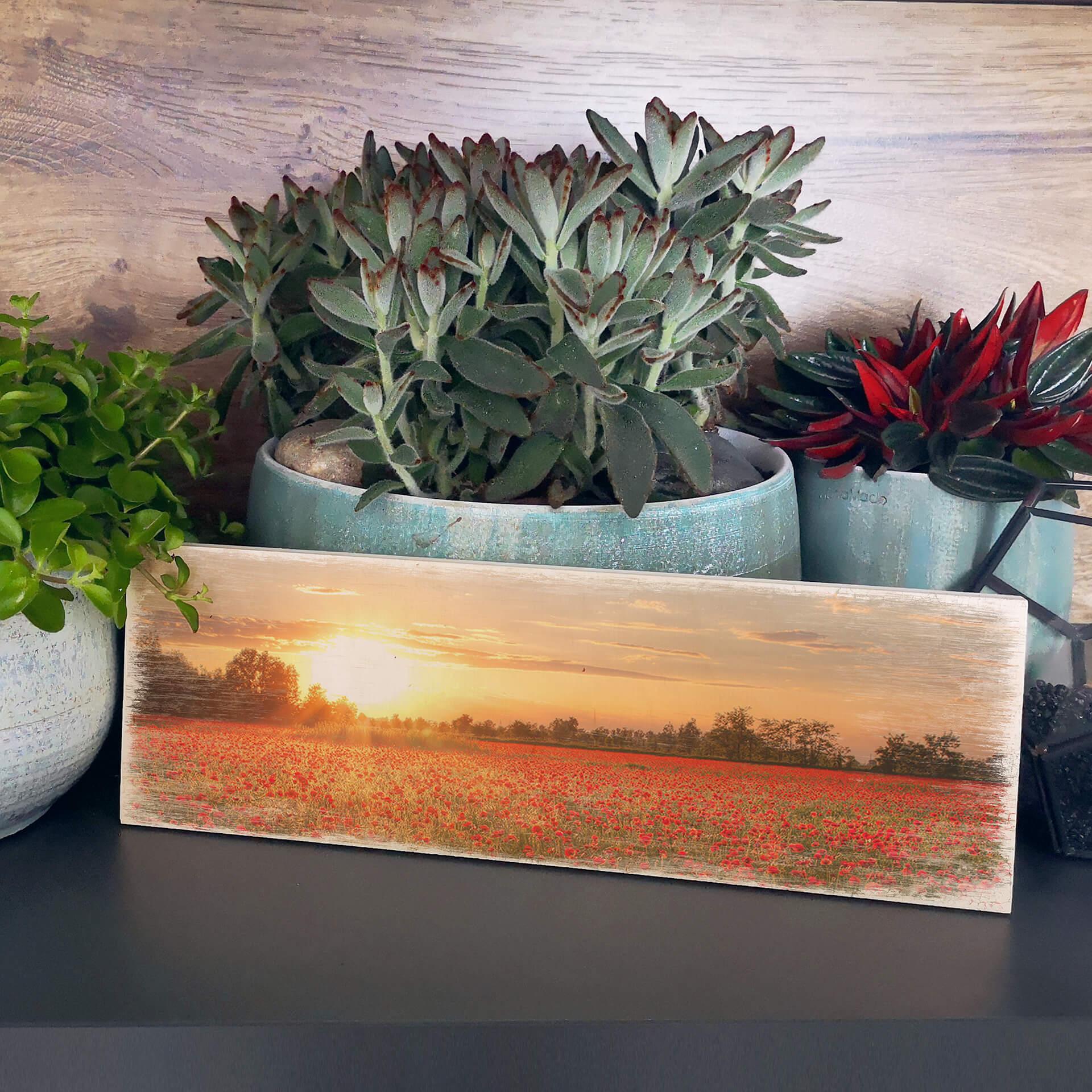 Houten Bordje Klaprozen bij Zonsondergang
