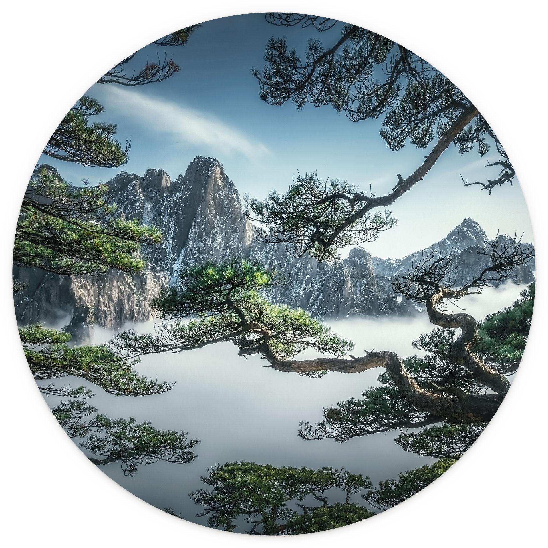 Fotobehang dennenbos in het Huang Shan-gebergte - NingYun Ye - Rond - vliesbehang/zelfklevend vliesb