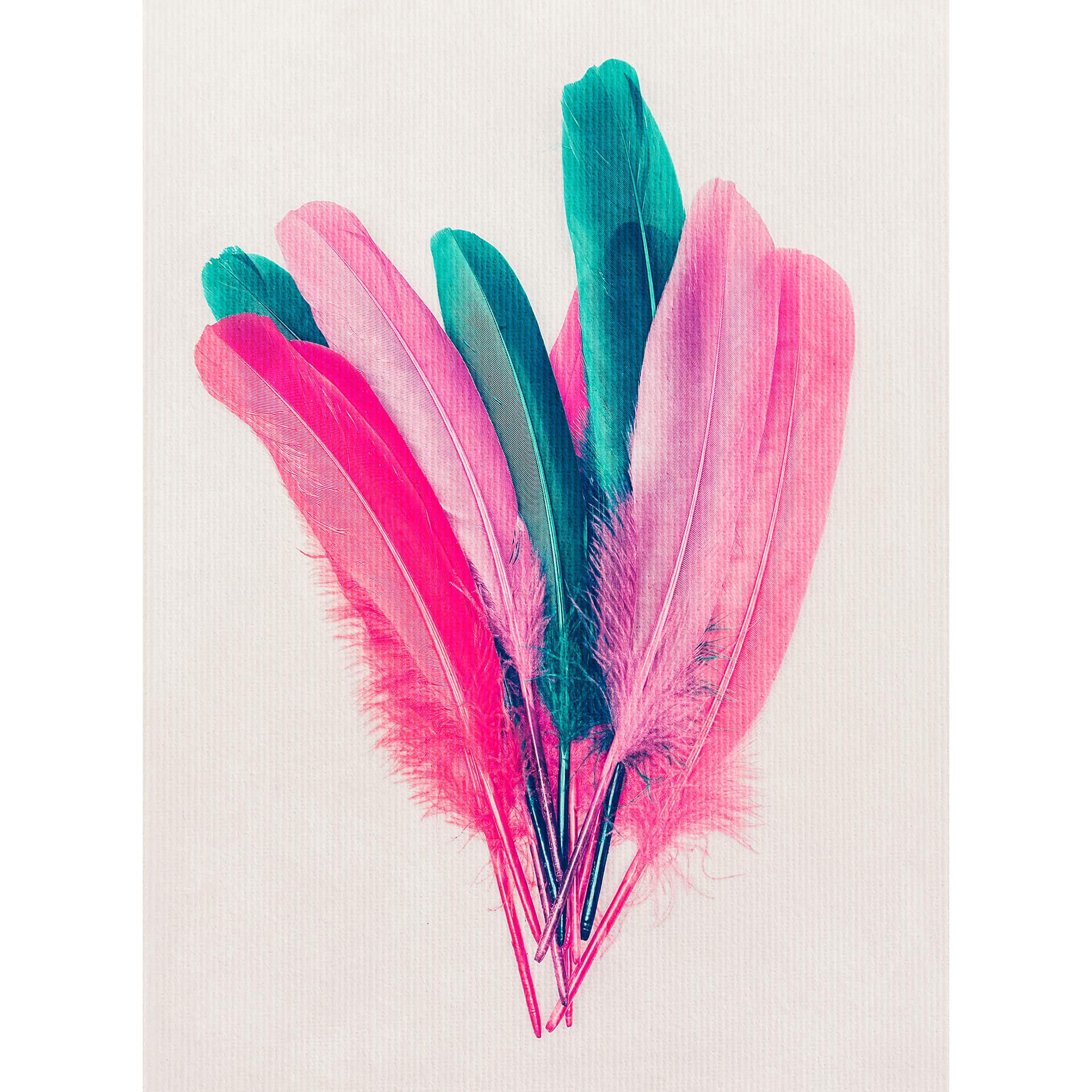 Fotobehang Kubistika - Bouquet of Feathers