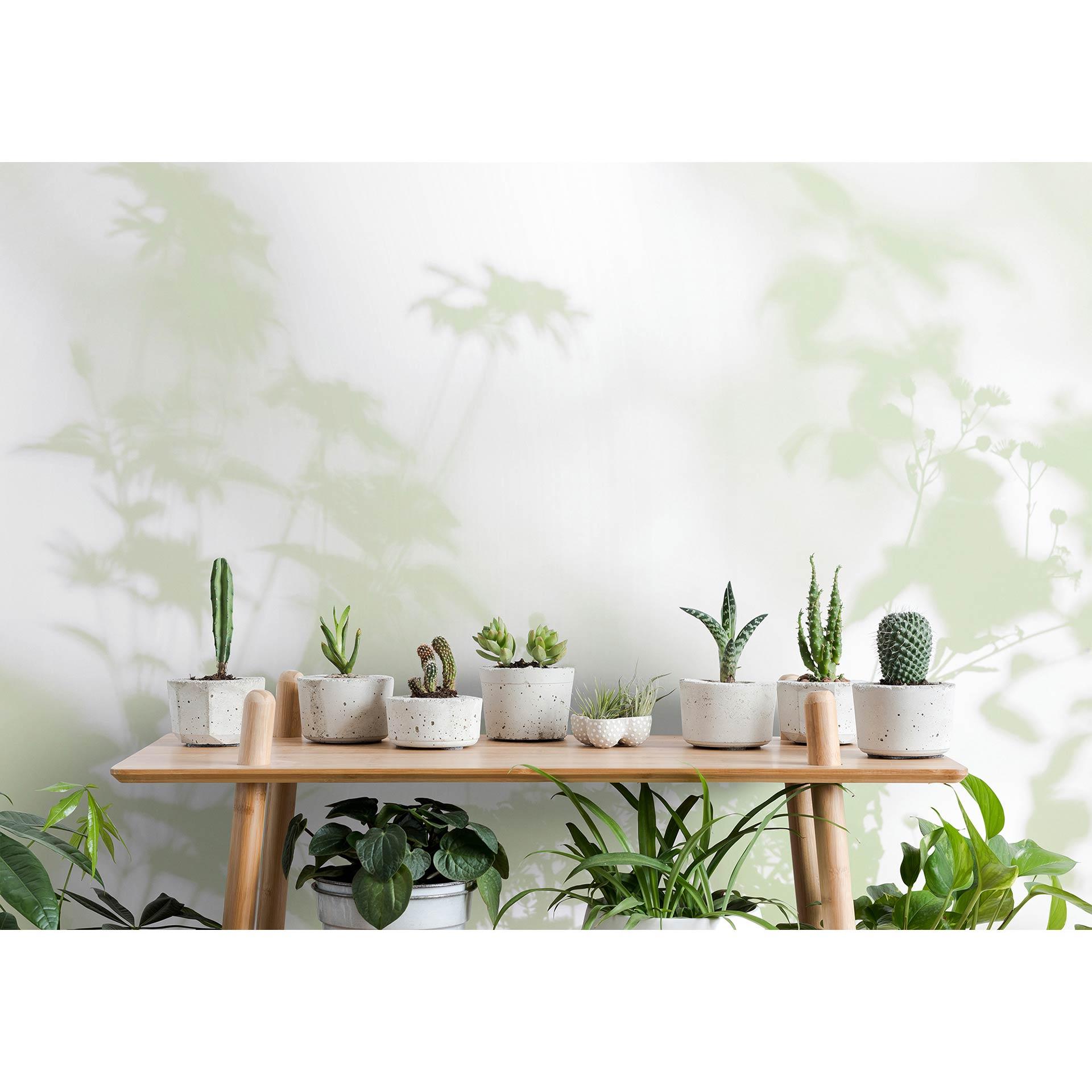 Livingwalls Fototapet Walls by Patel 3