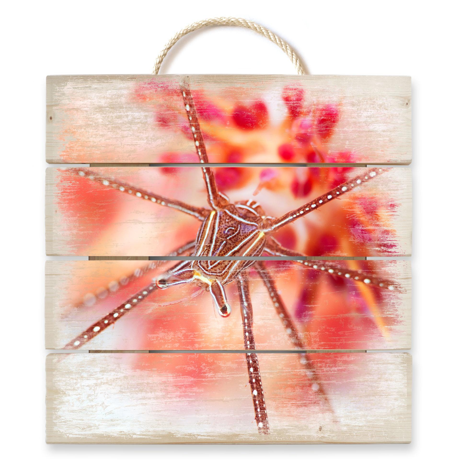 Cuadro de madera Narchuk - exótico submarino - 40x41,5 cm