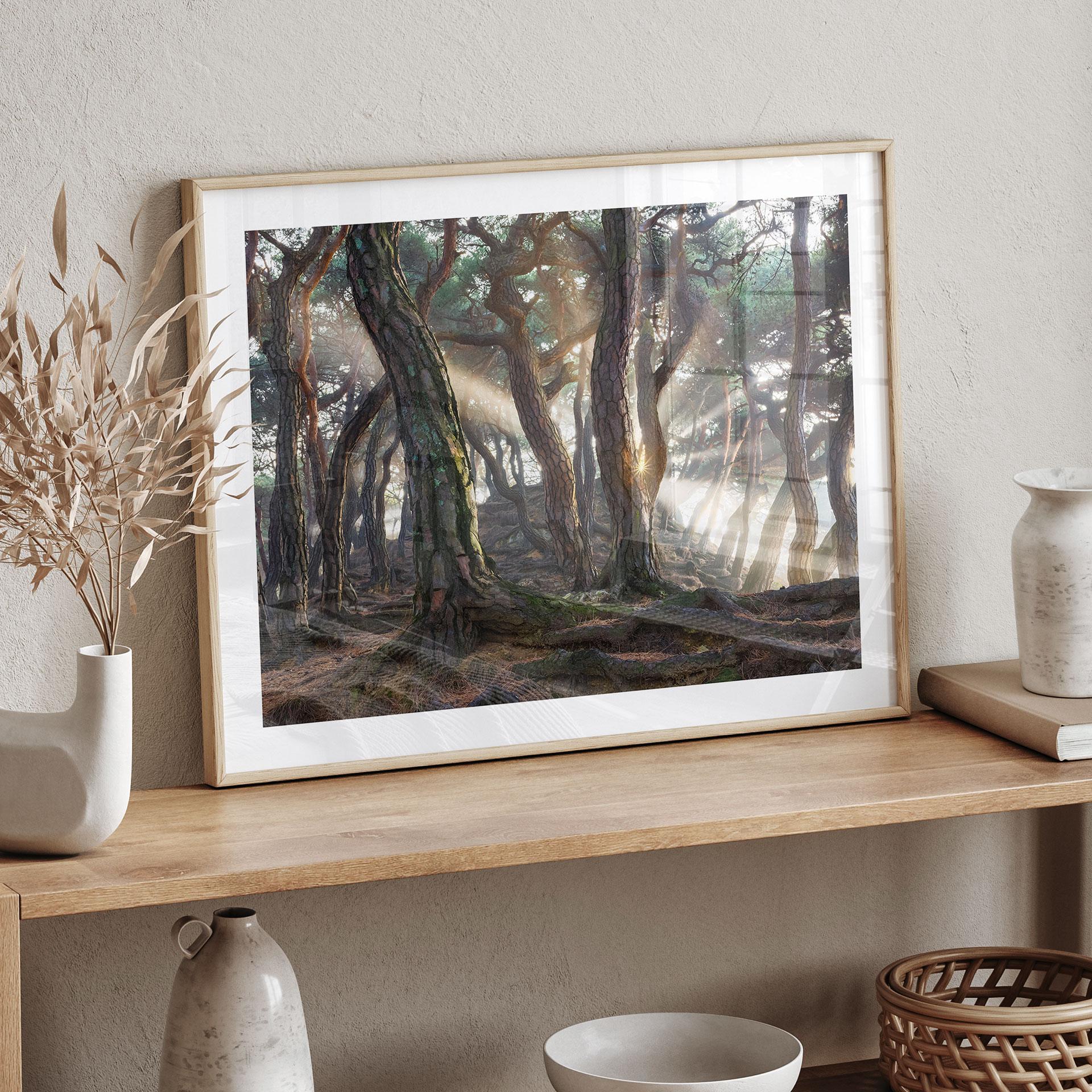 Póster Bosque sagrado de pinos - Ryu