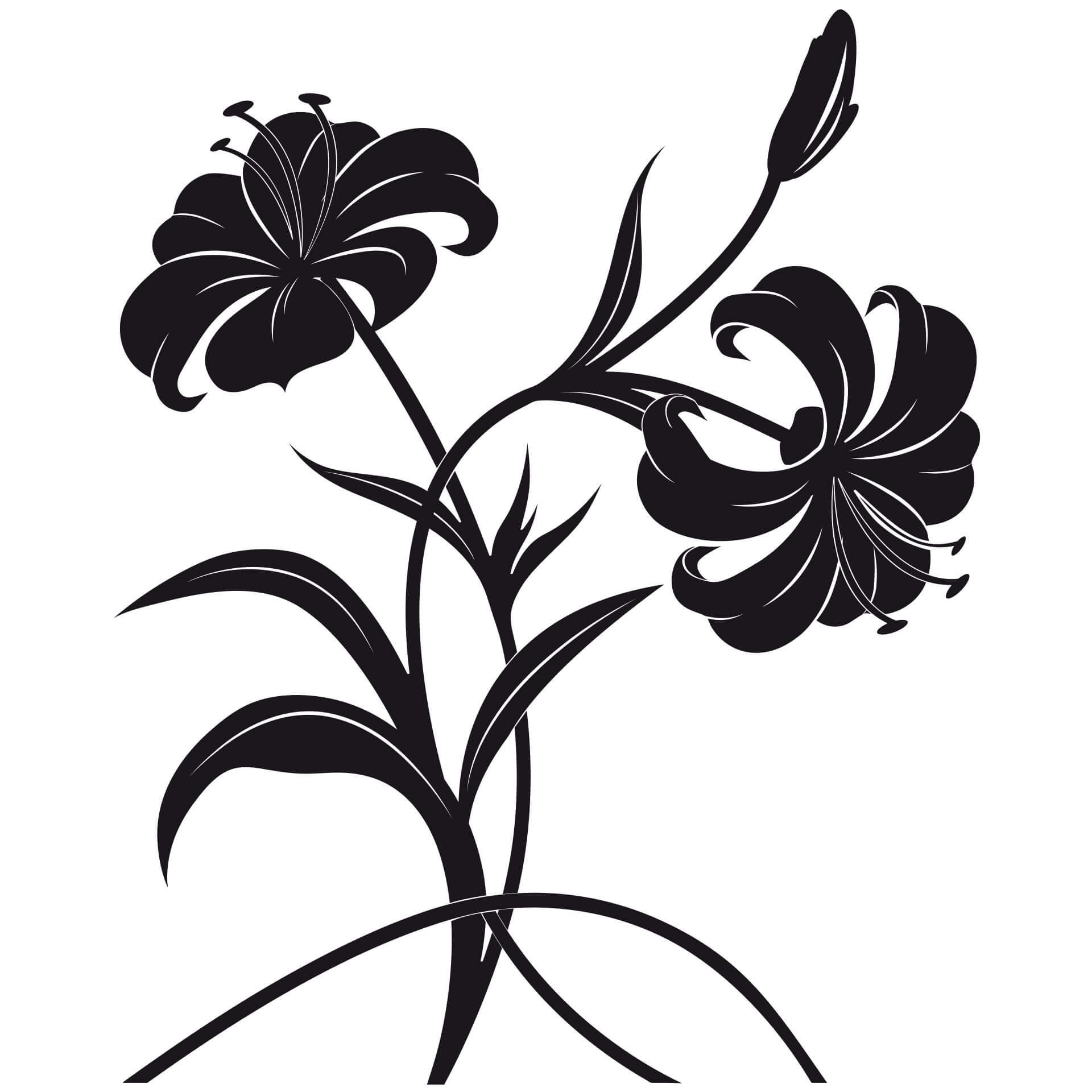 Muursticker Orchideeën
