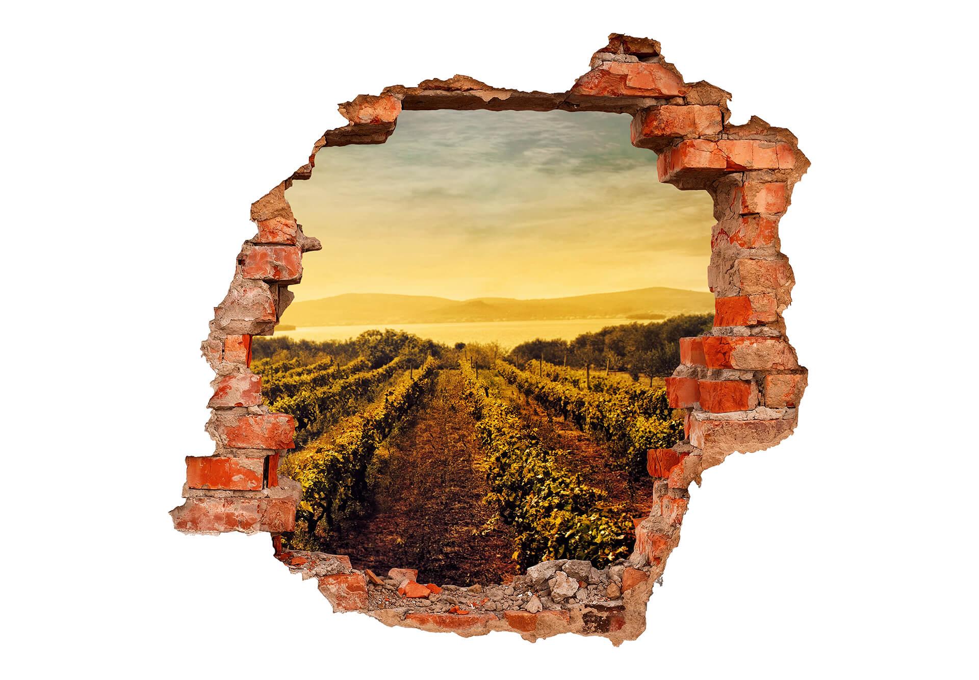 Adesivo 3D – Vigneto