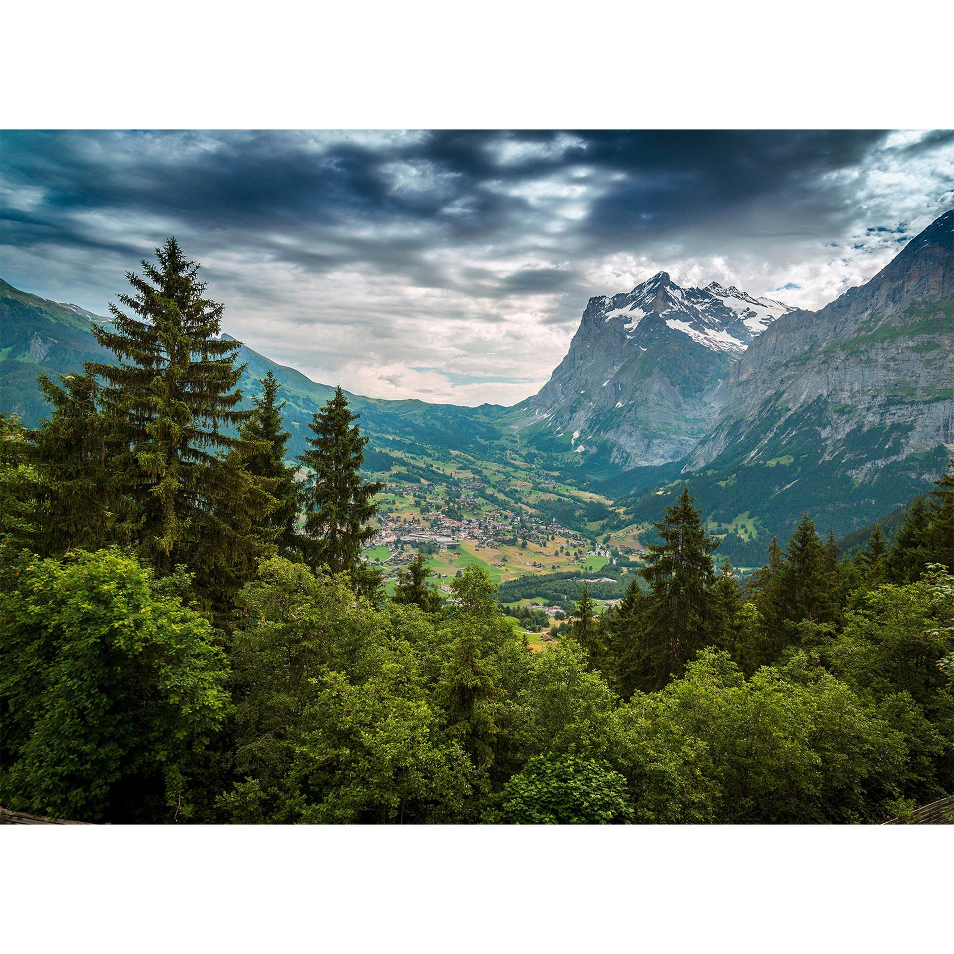 Livingwalls Fototapete Designwalls Mountain Views Wald