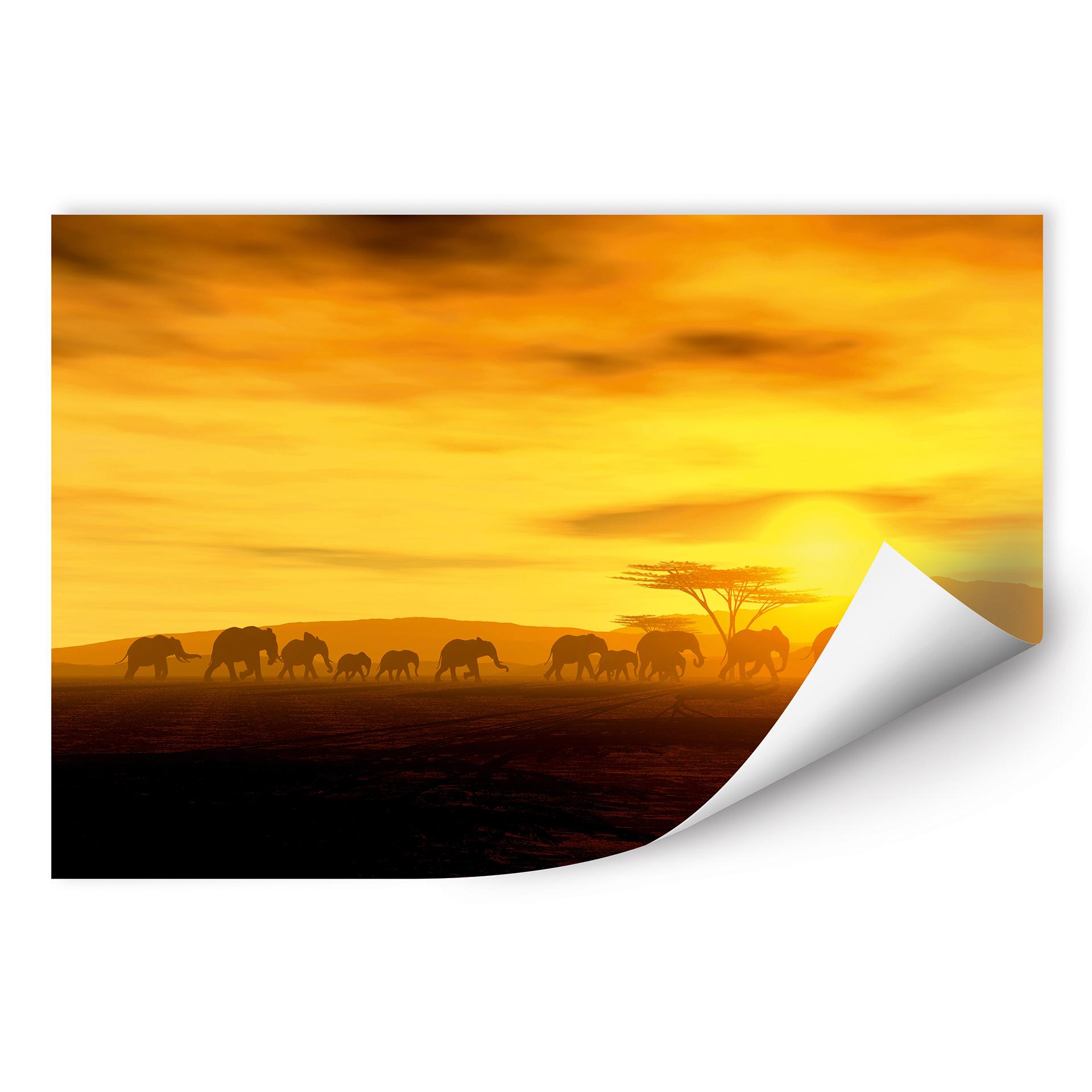 Poster autocollant - W - Migration des Éléphants