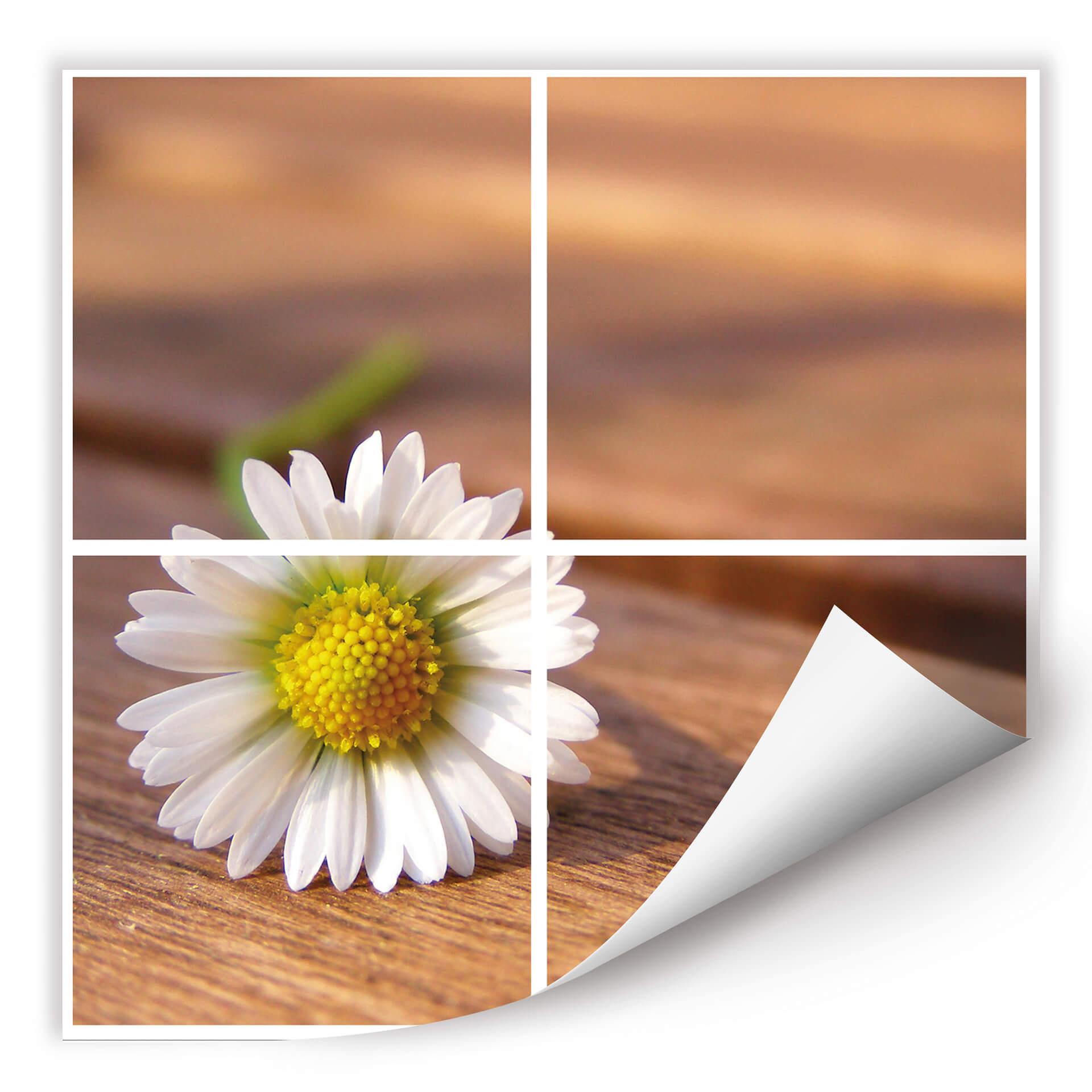 Poster autocollant - W - Pâquerette