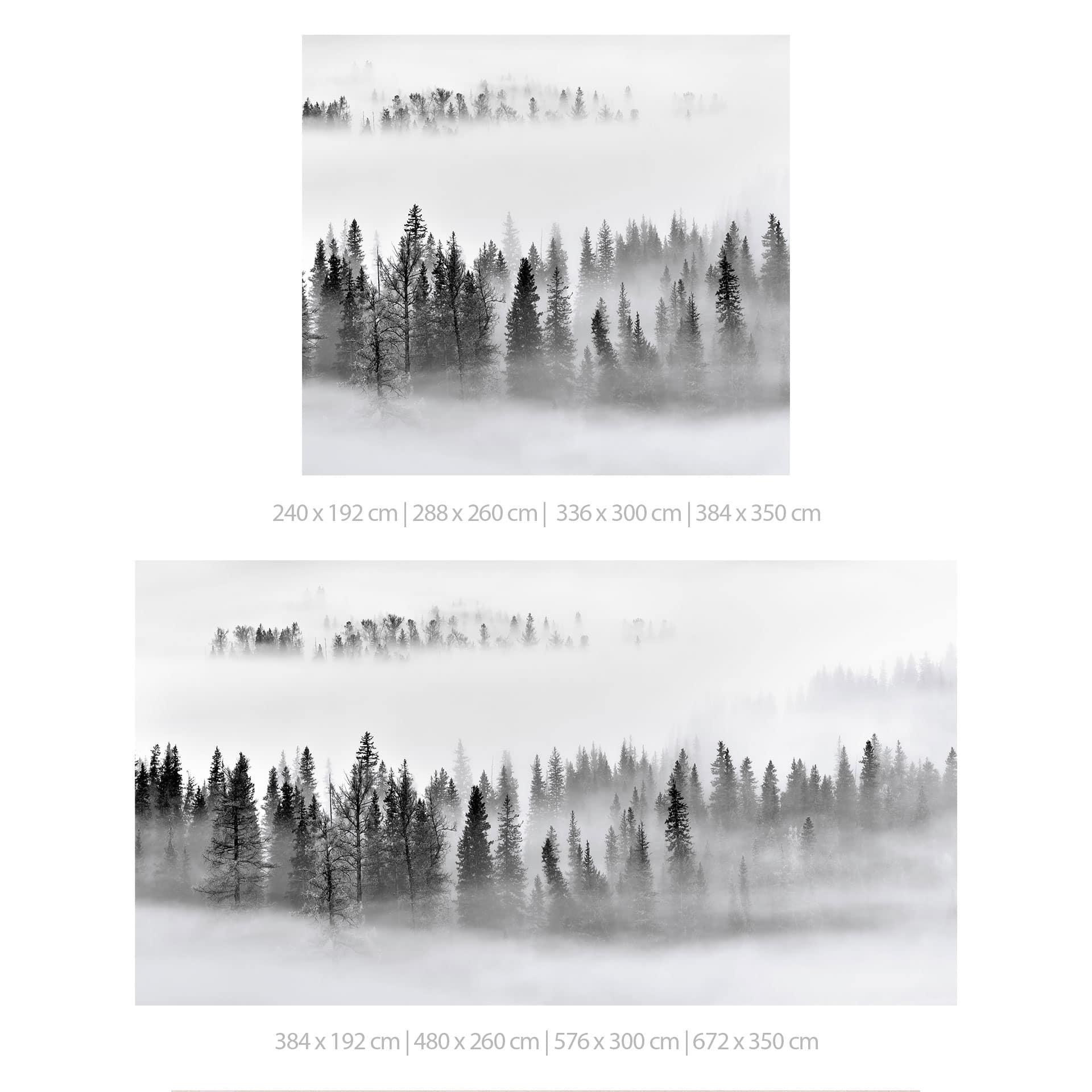 Fotobehang Xu - Foggy Forest