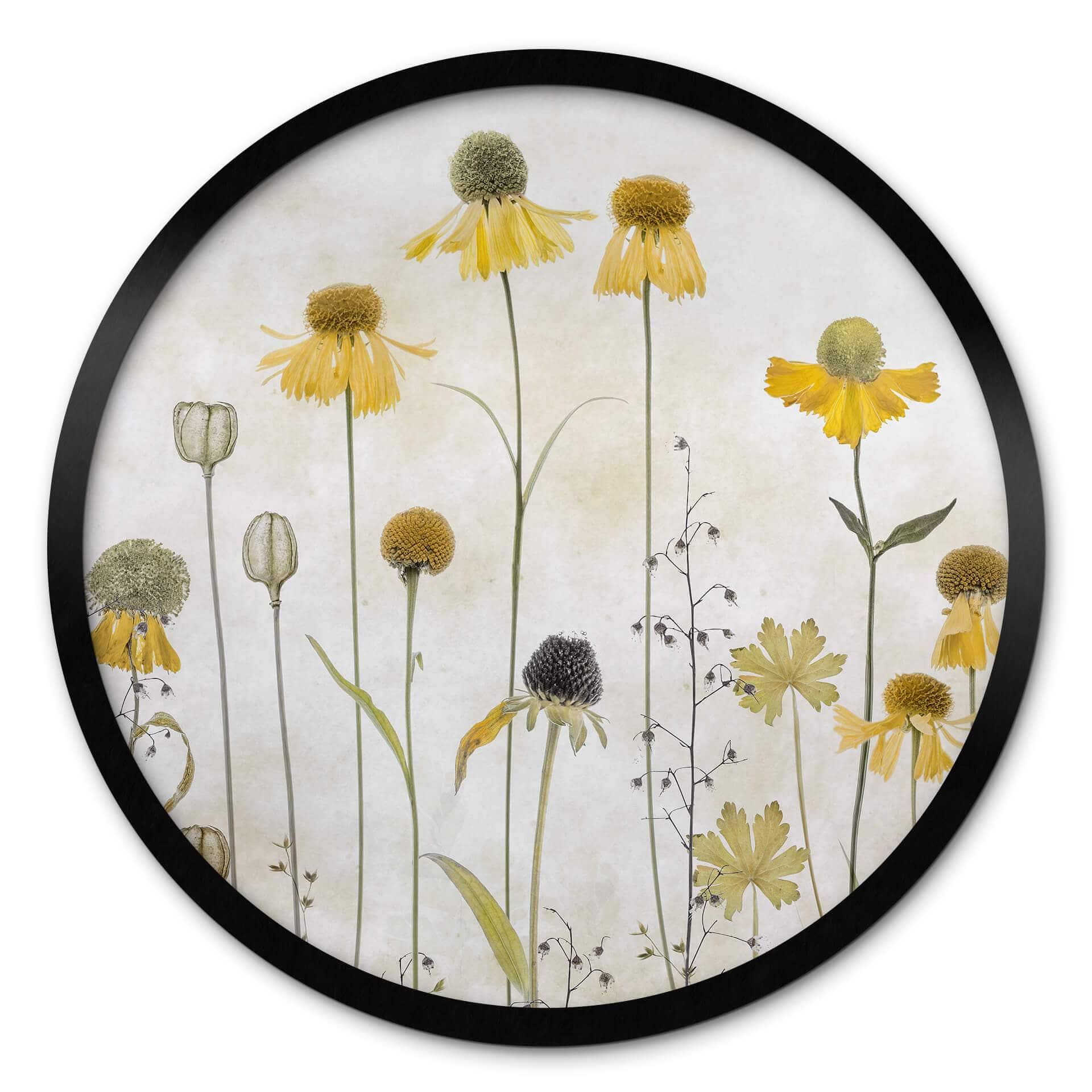 Plakat Disher - Summer Flower