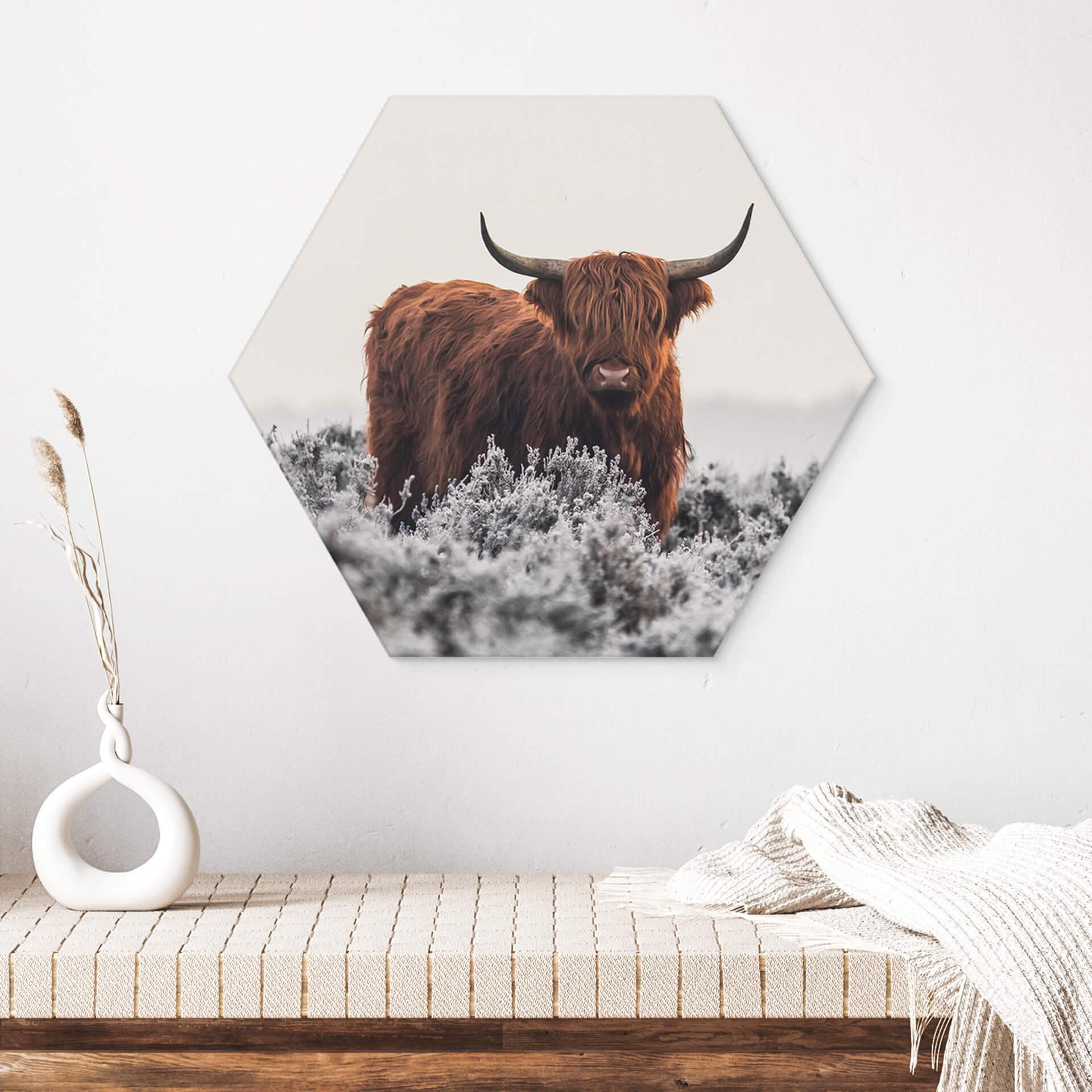 Hexagon Dibond van den Helm - Highlander