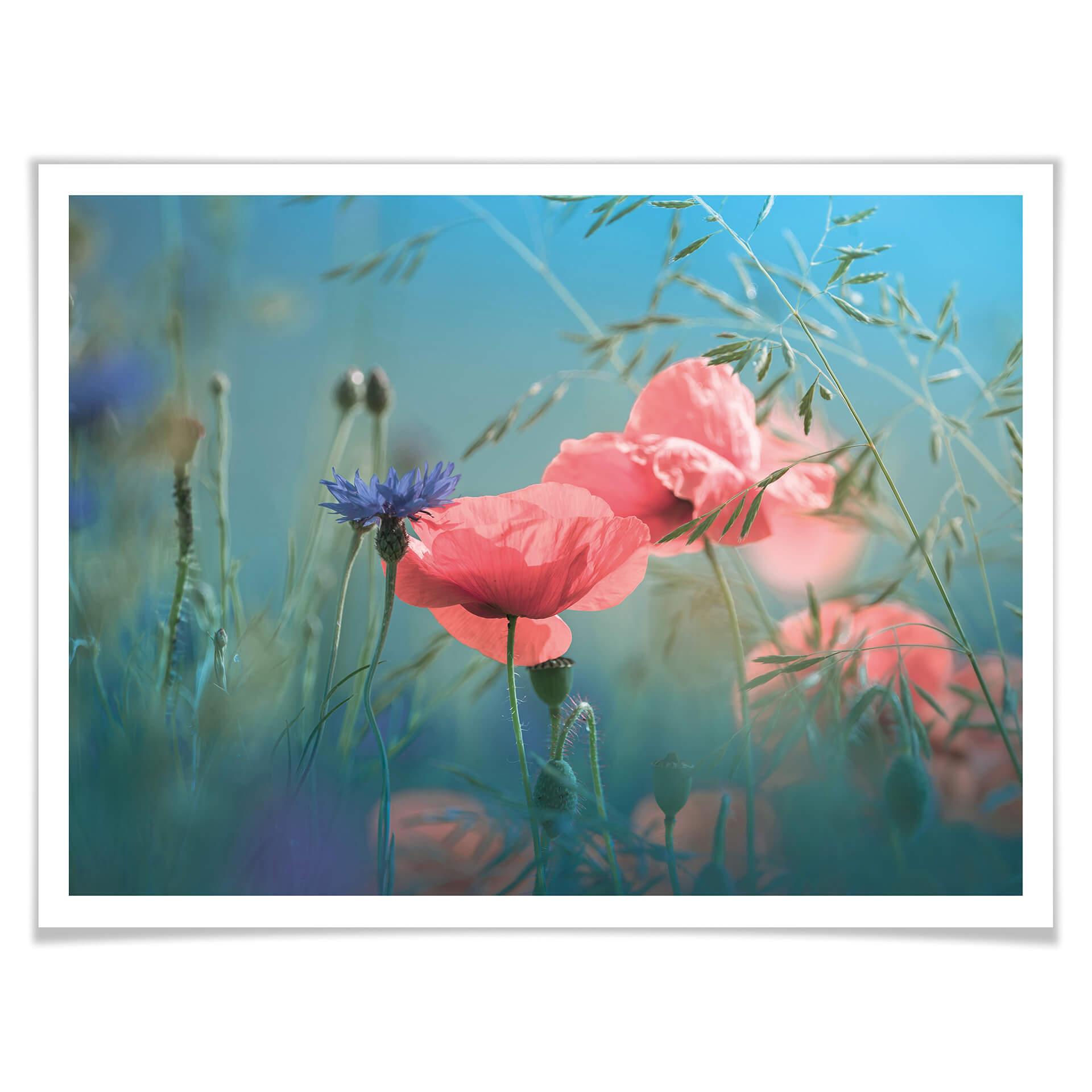 Plakat Delgado - Wildflowers Aquamarine